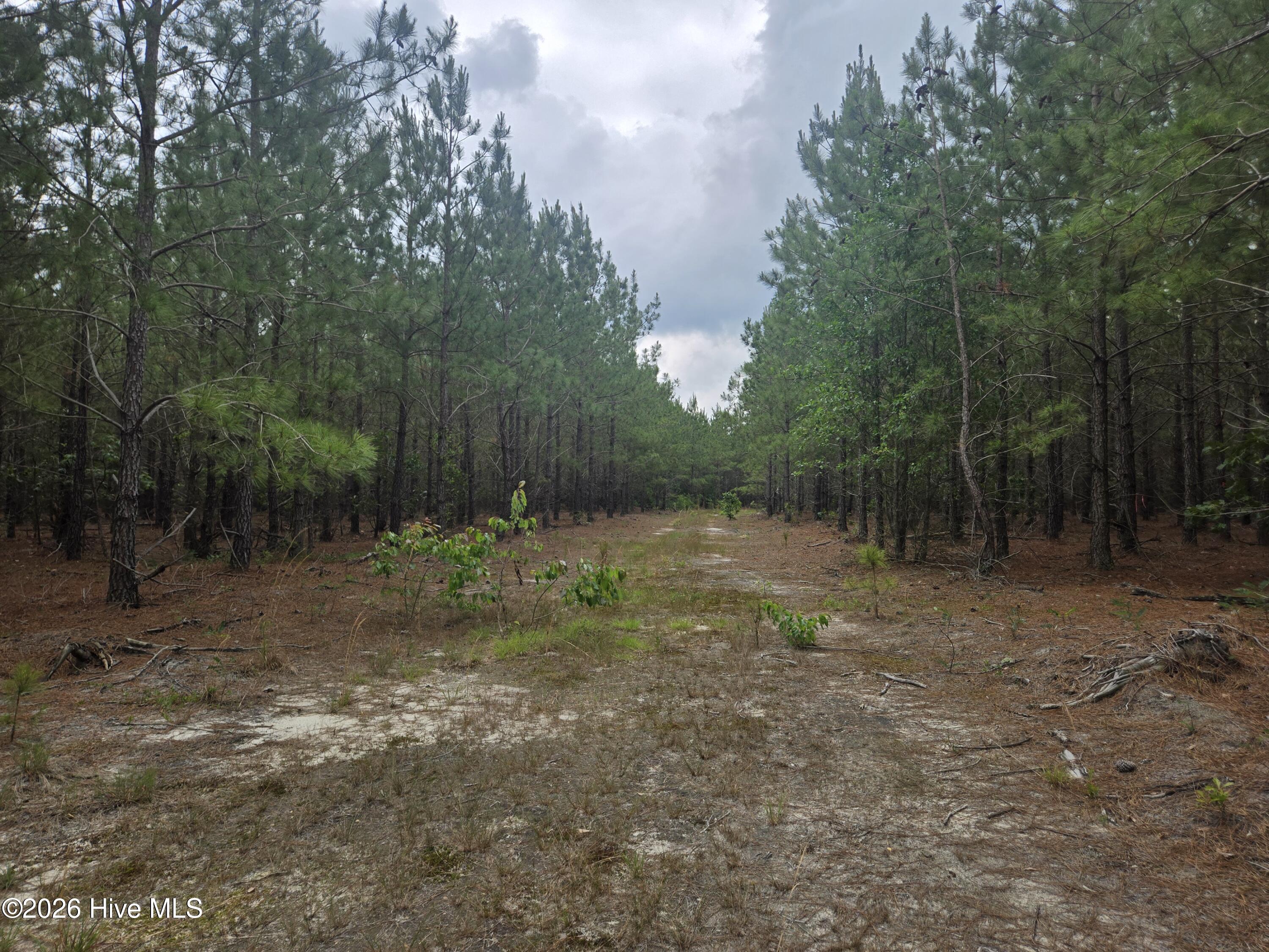 Tract 14 Belford Church Road, Jackson Springs, NC 27281 Listing Photo  2