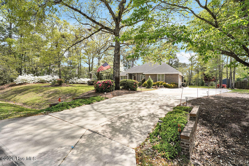 100567703 | Photo 37