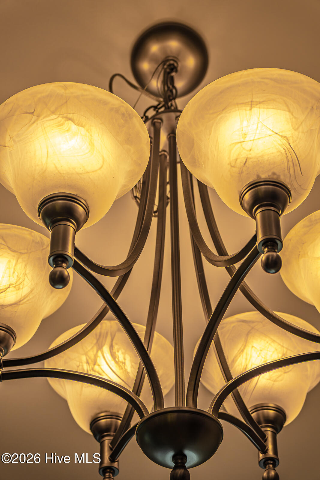100572661 | Photo 15