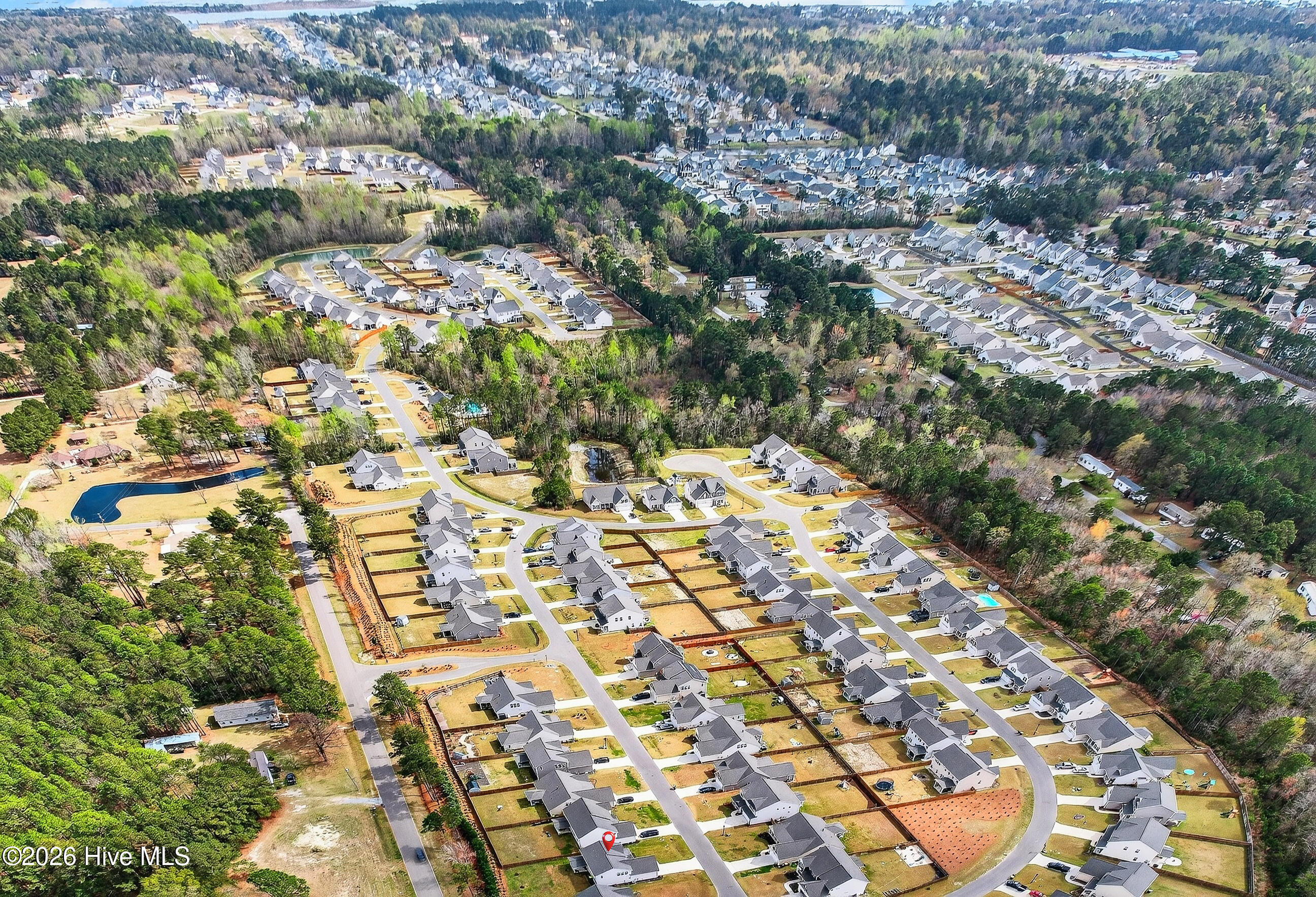 100563505 | Photo 48