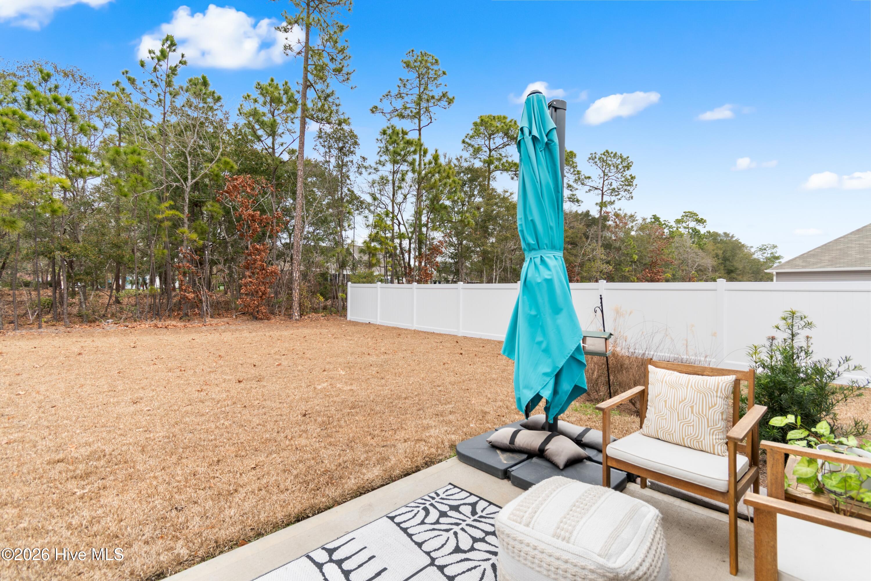 100549910 | Photo 32