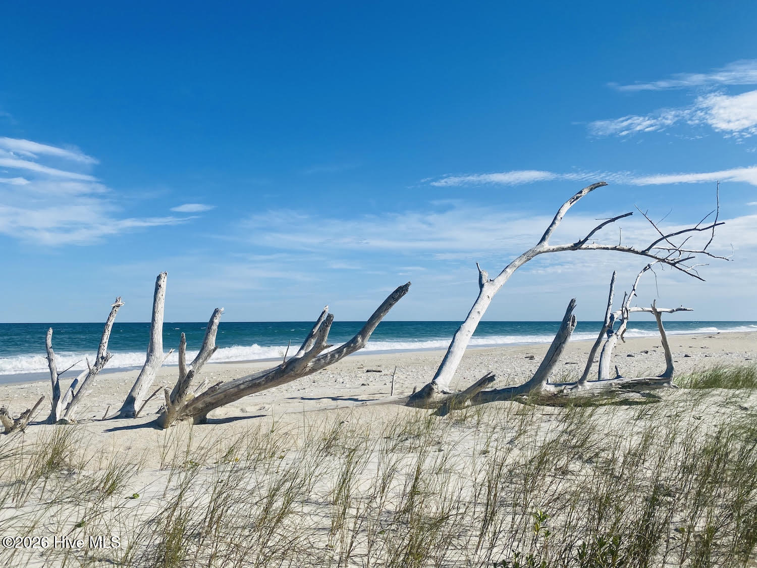 100555824 | Photo 10