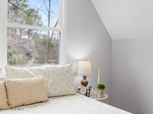 100558460 | Photo 35