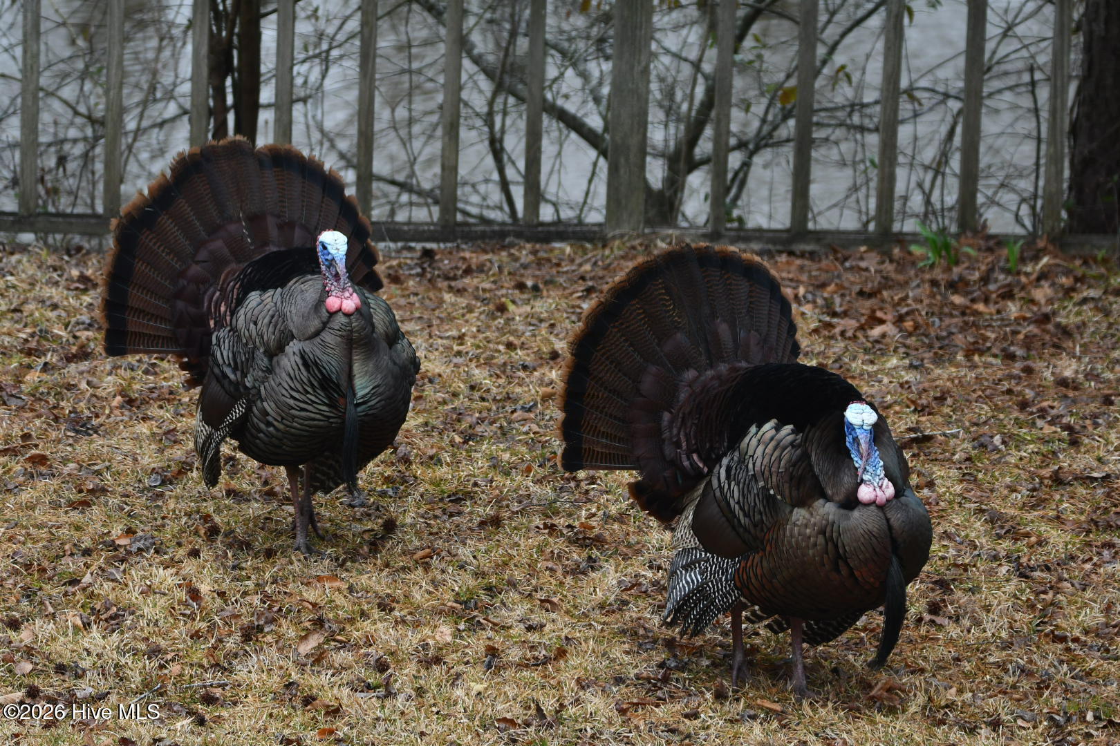 108 Farmington Road, Grimesland, NC, 27837