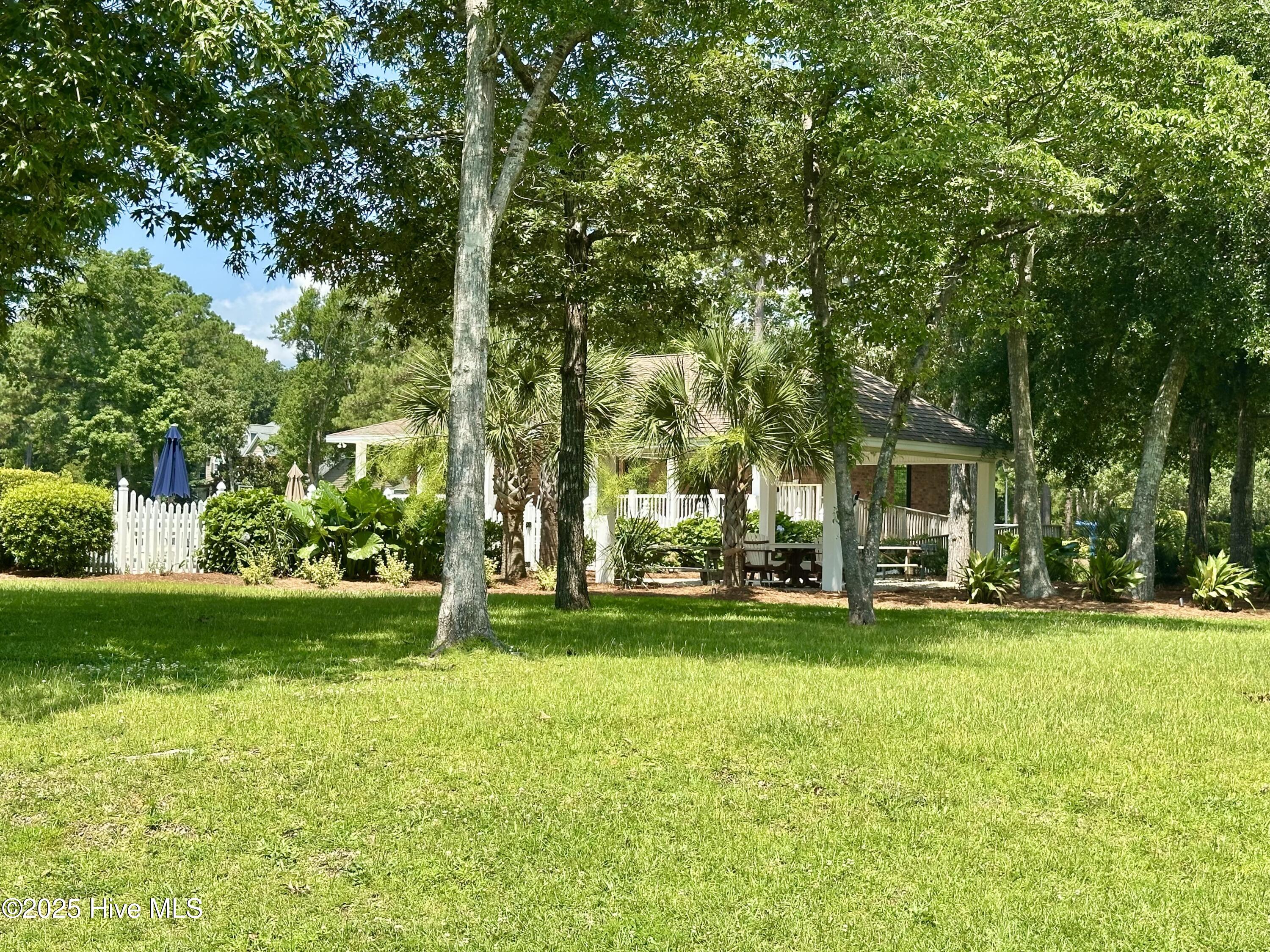 100558486 | Photo 37