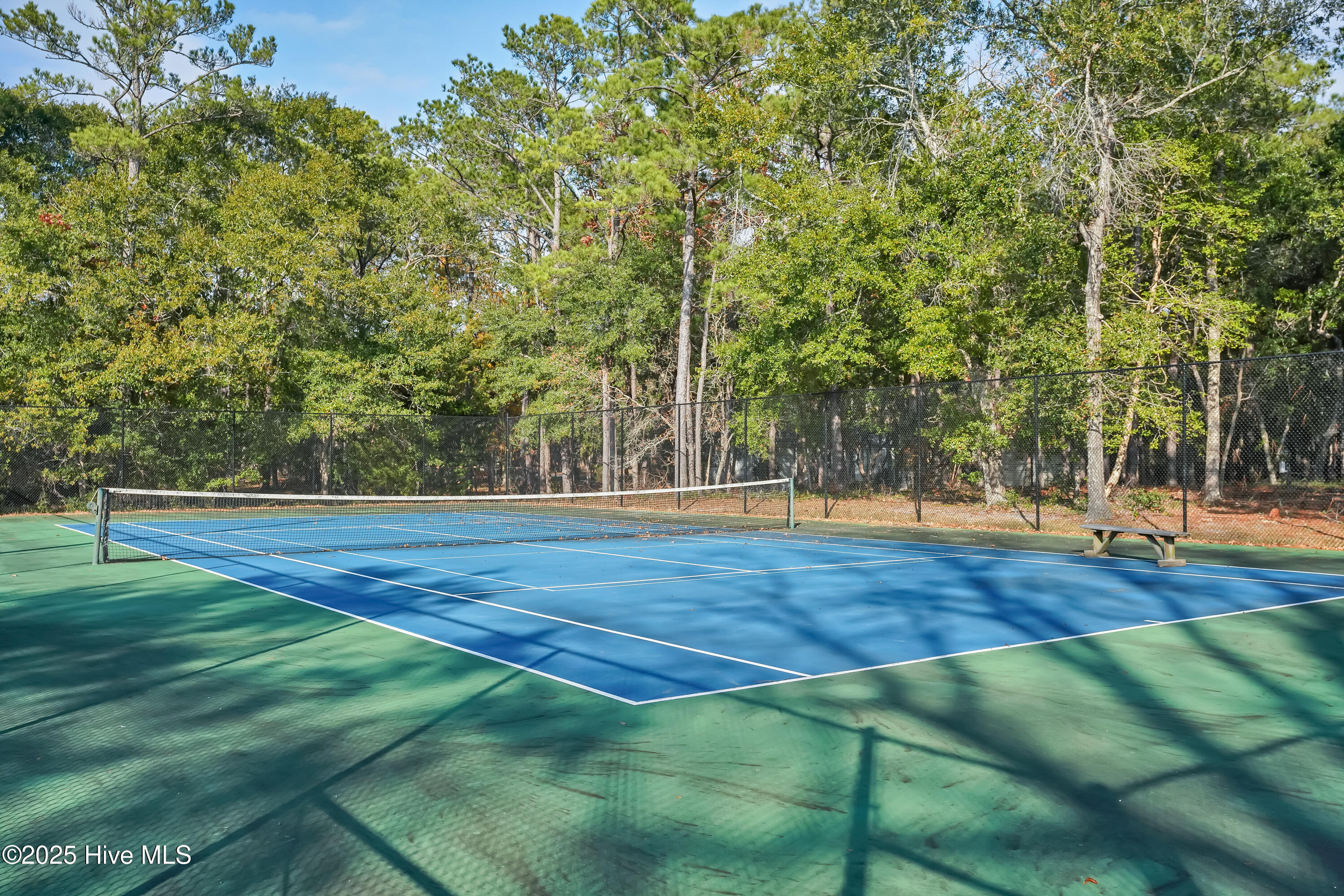 100534894 | Photo 27