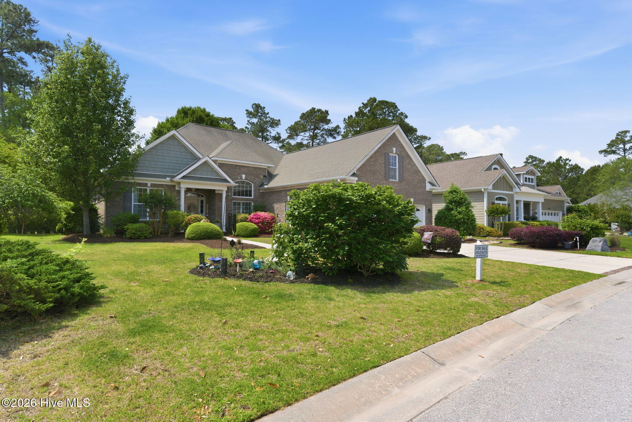 100569602 | Photo 48