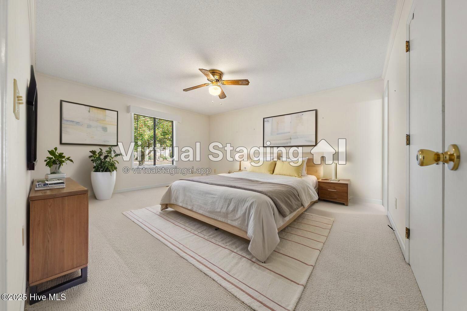 100542635 | Photo 18