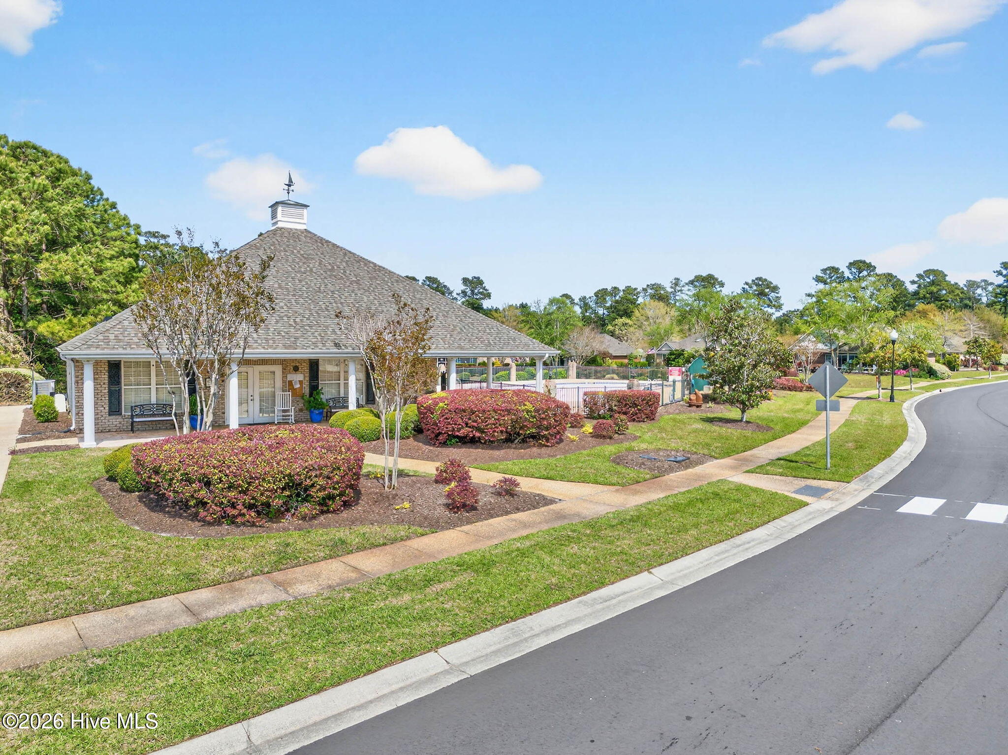 100566097 | Photo 53