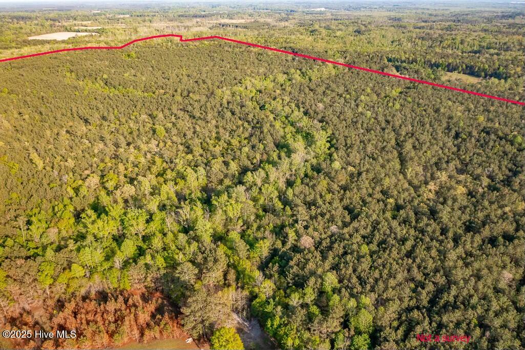 Homes for sale in Vanceboro, NC | 0 Streets Ferry Rd, Vanceboro, NC 28586 | MLS# 100503725