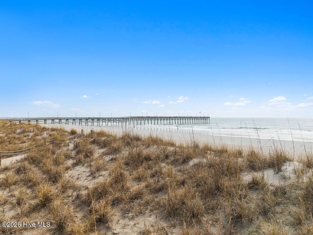 100556593 | Photo 16