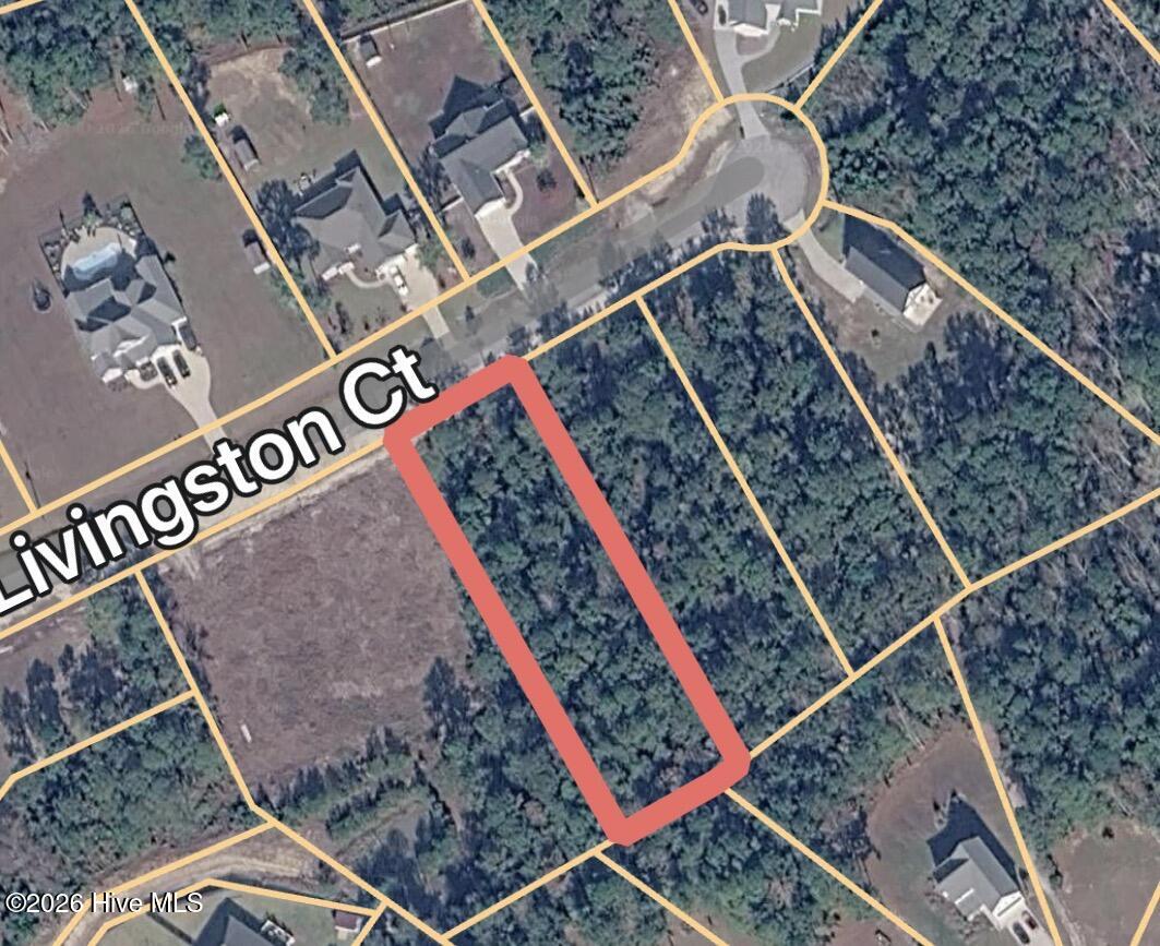 100554064 | Photo 19