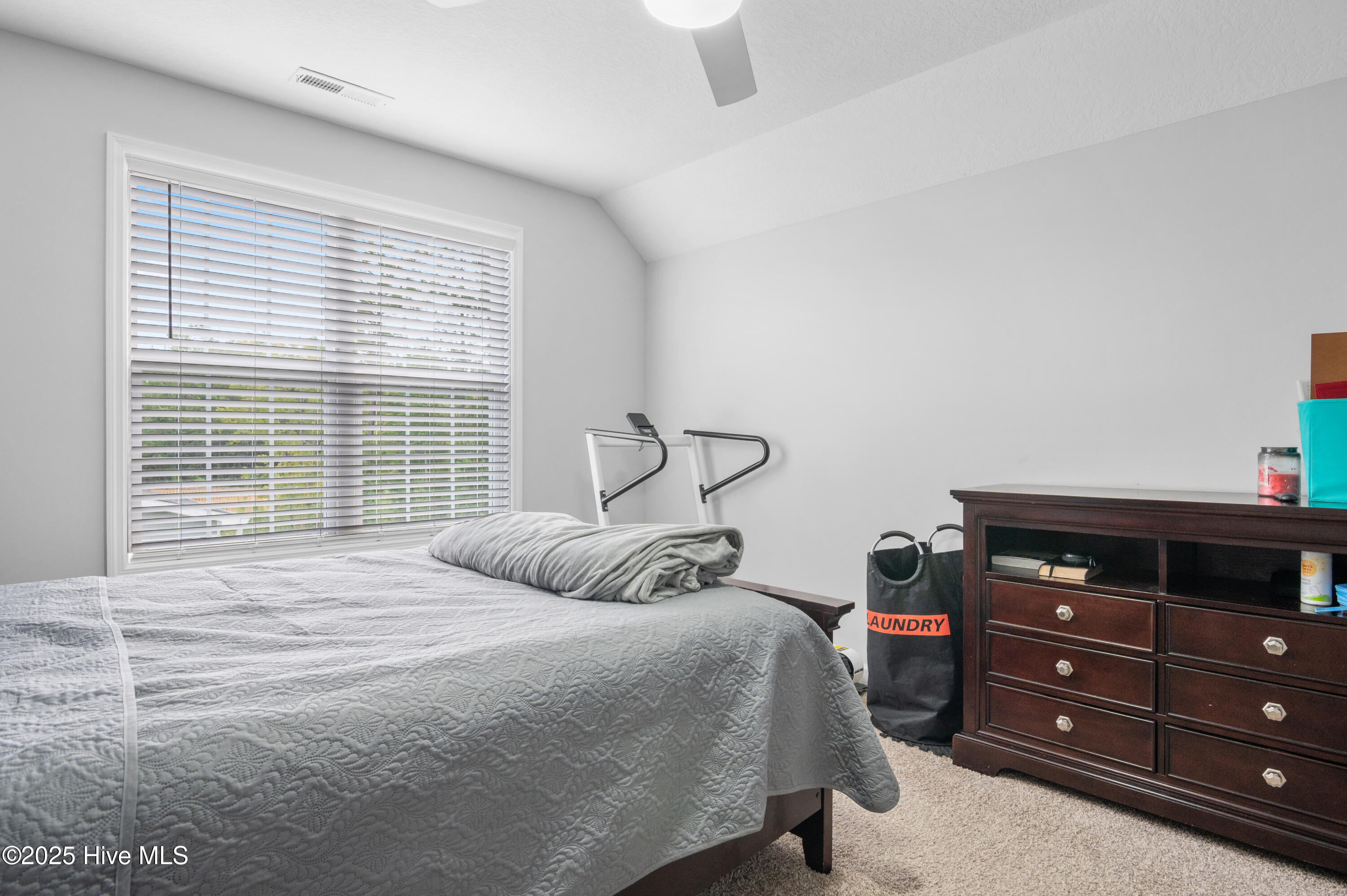 100527902 | Photo 35