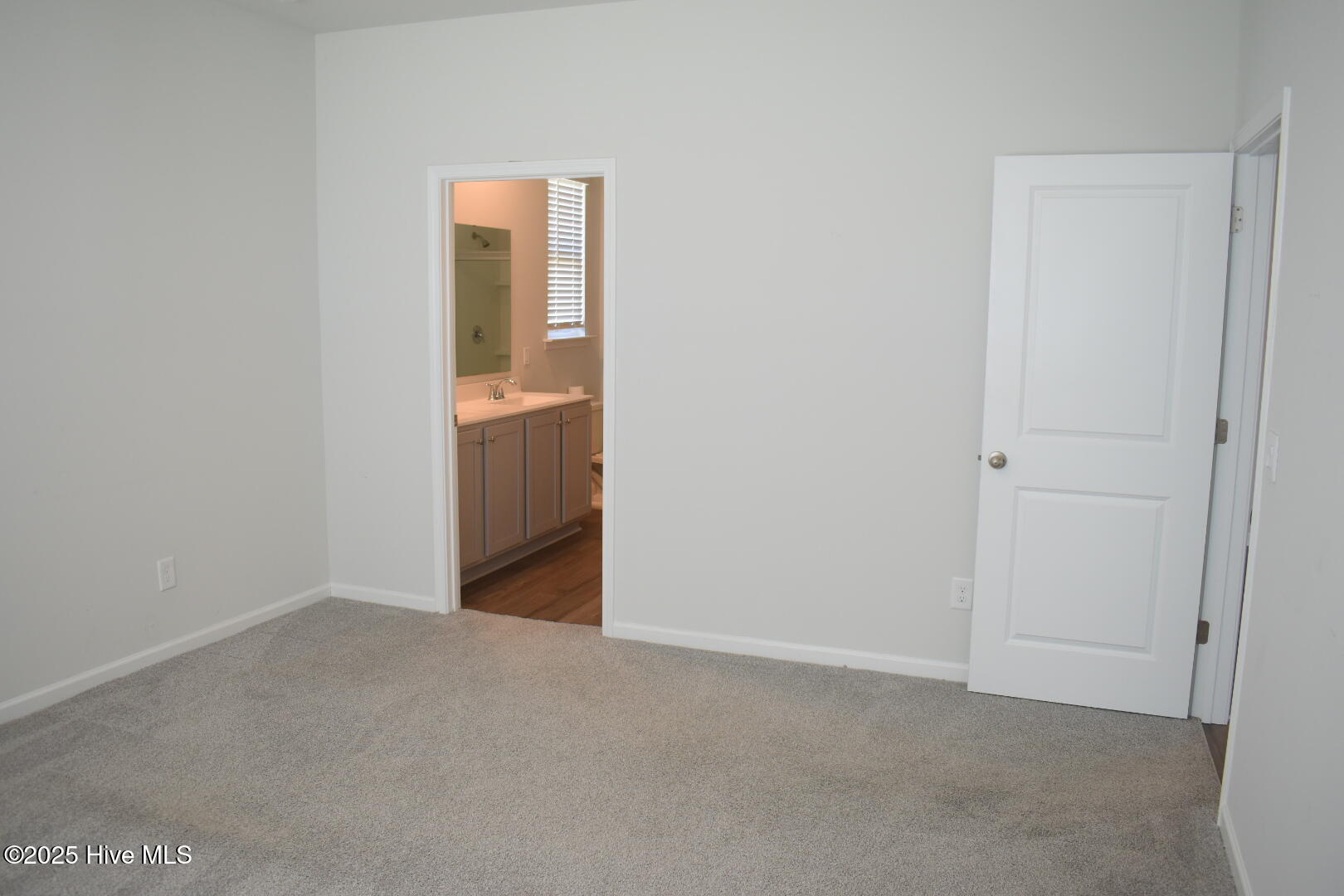 100535497 | Photo 12