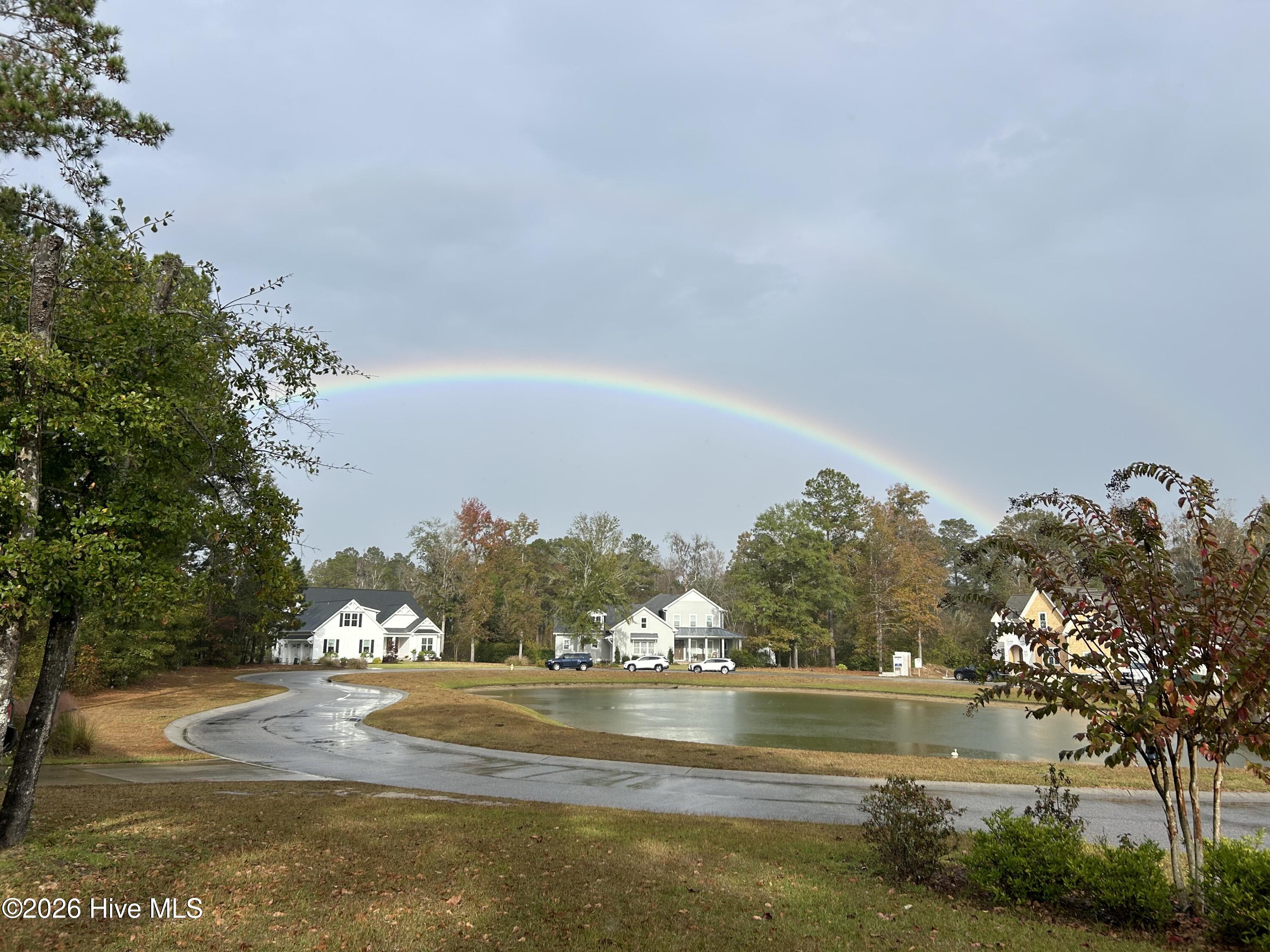 100552333 | Photo 16