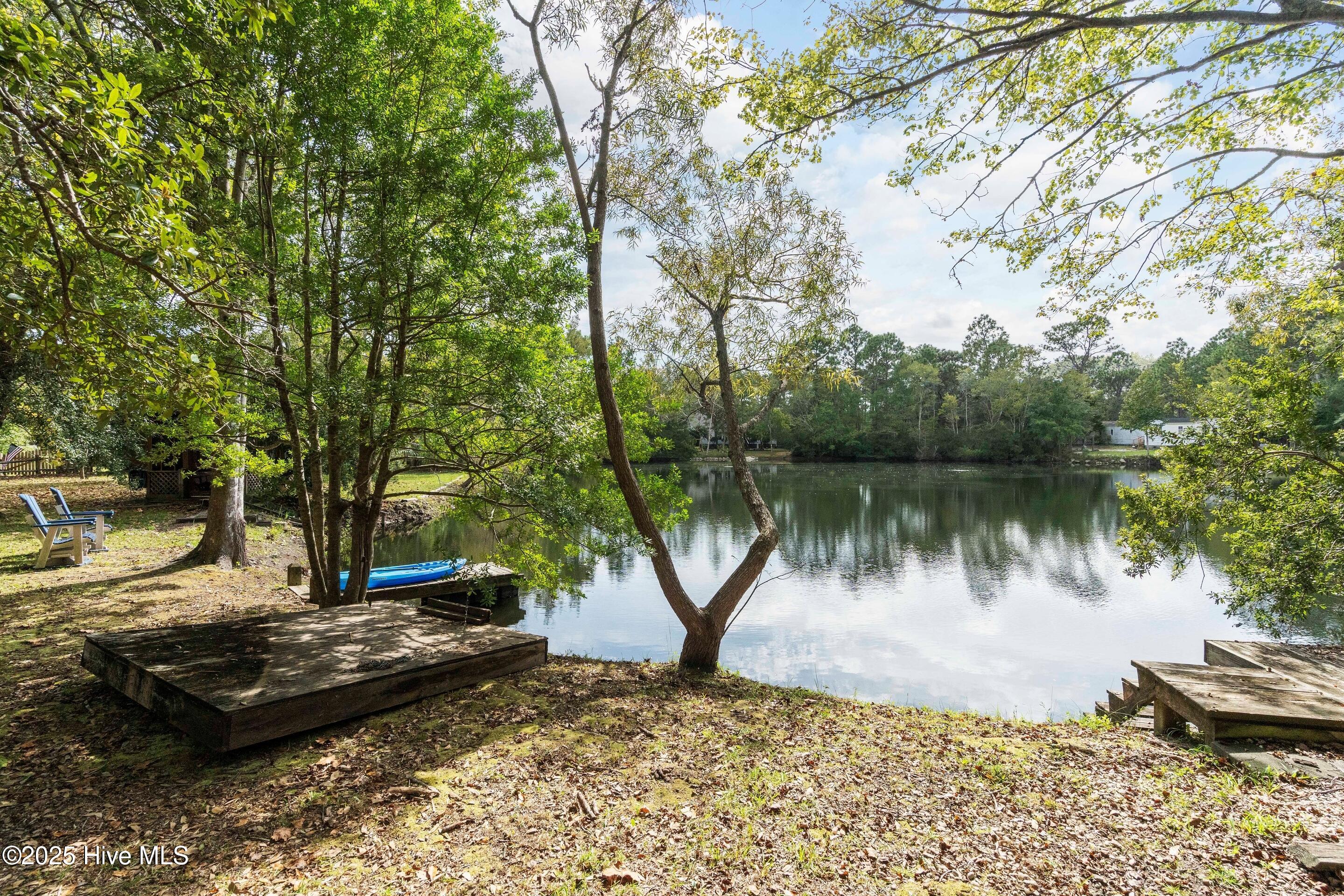 100535667 | Photo 53