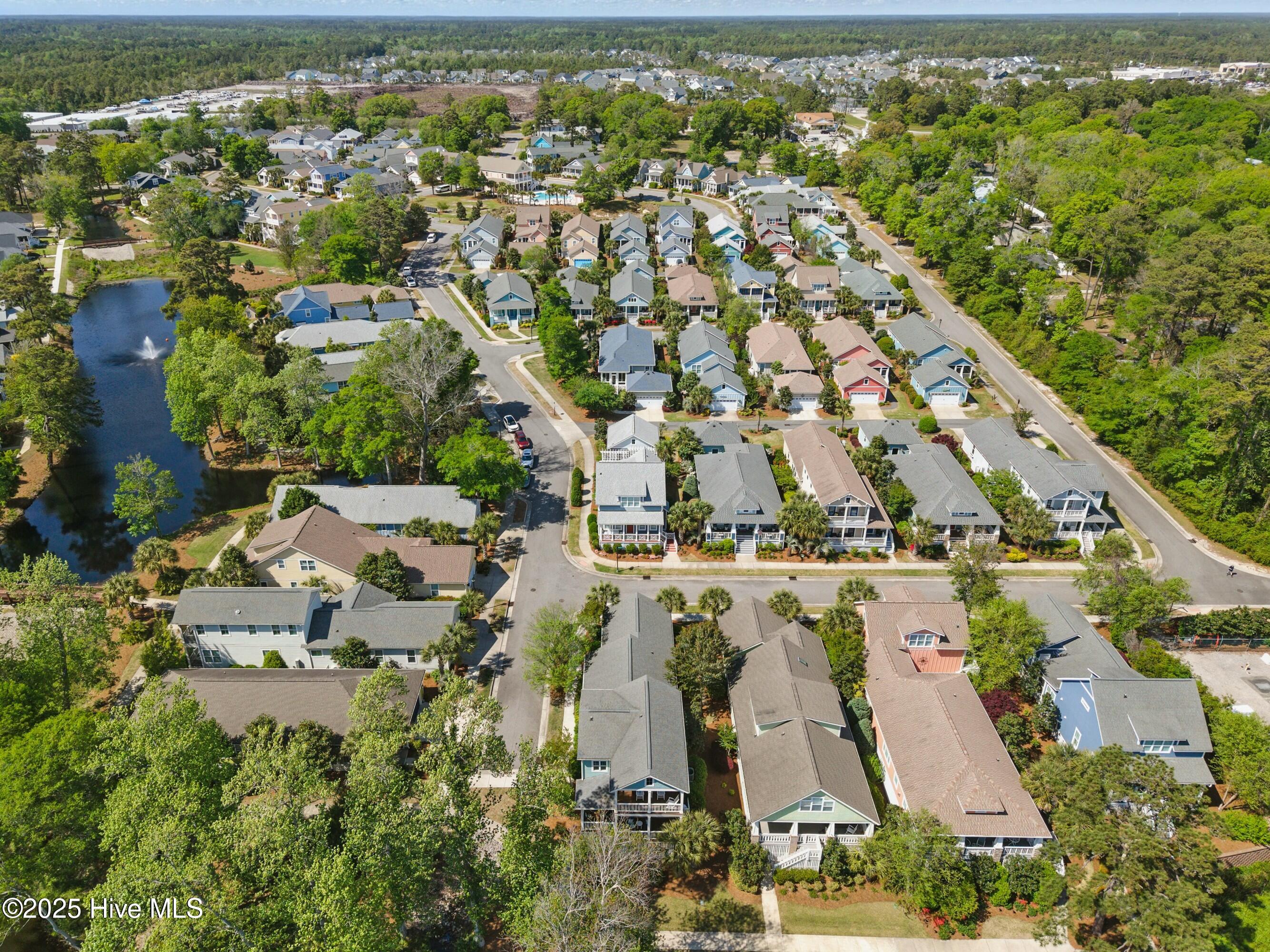 100503387 | Photo 46