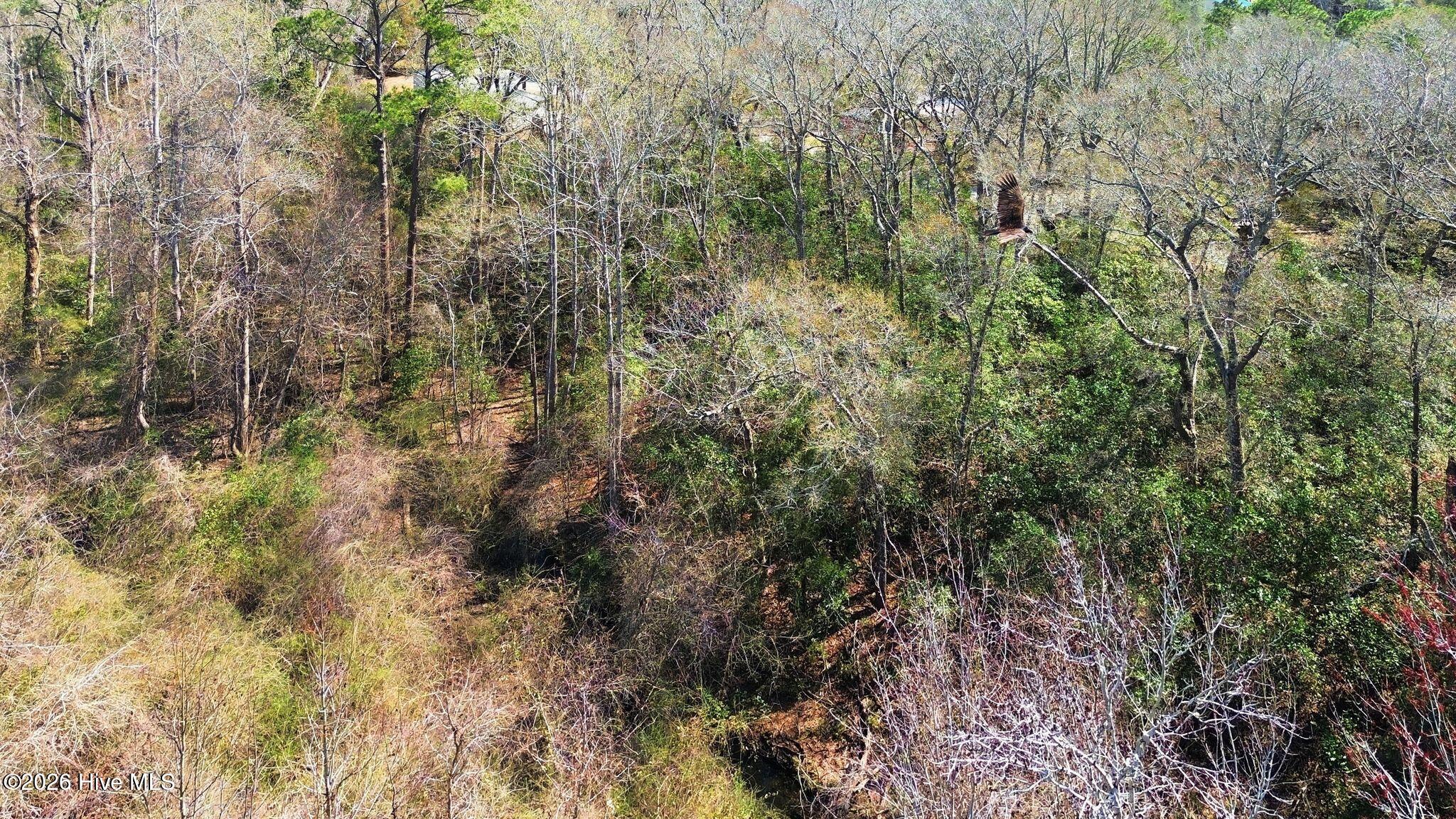 100560129 | Photo 29