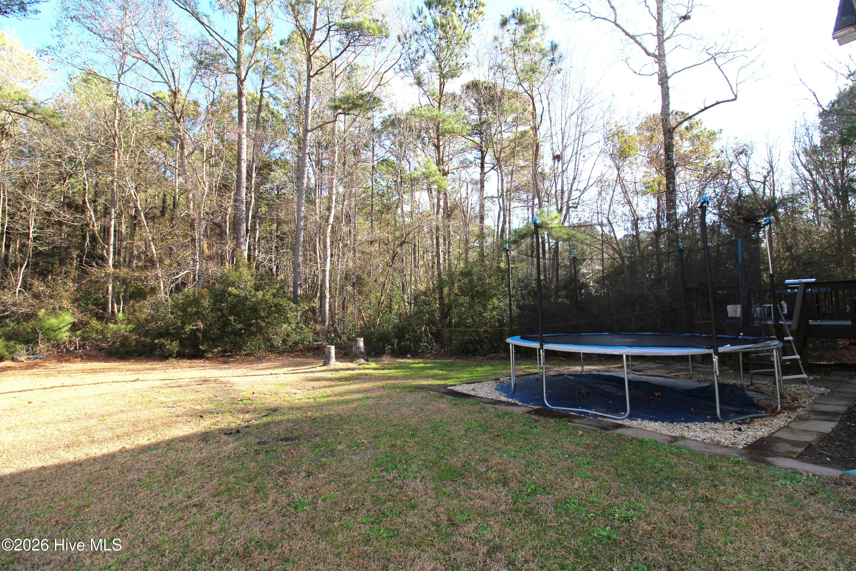 100538724 | Photo 42