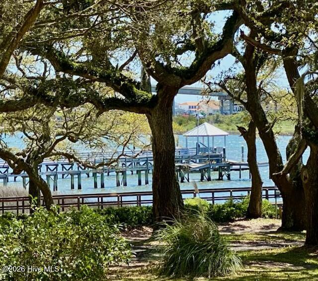 100558842 | Photo 13