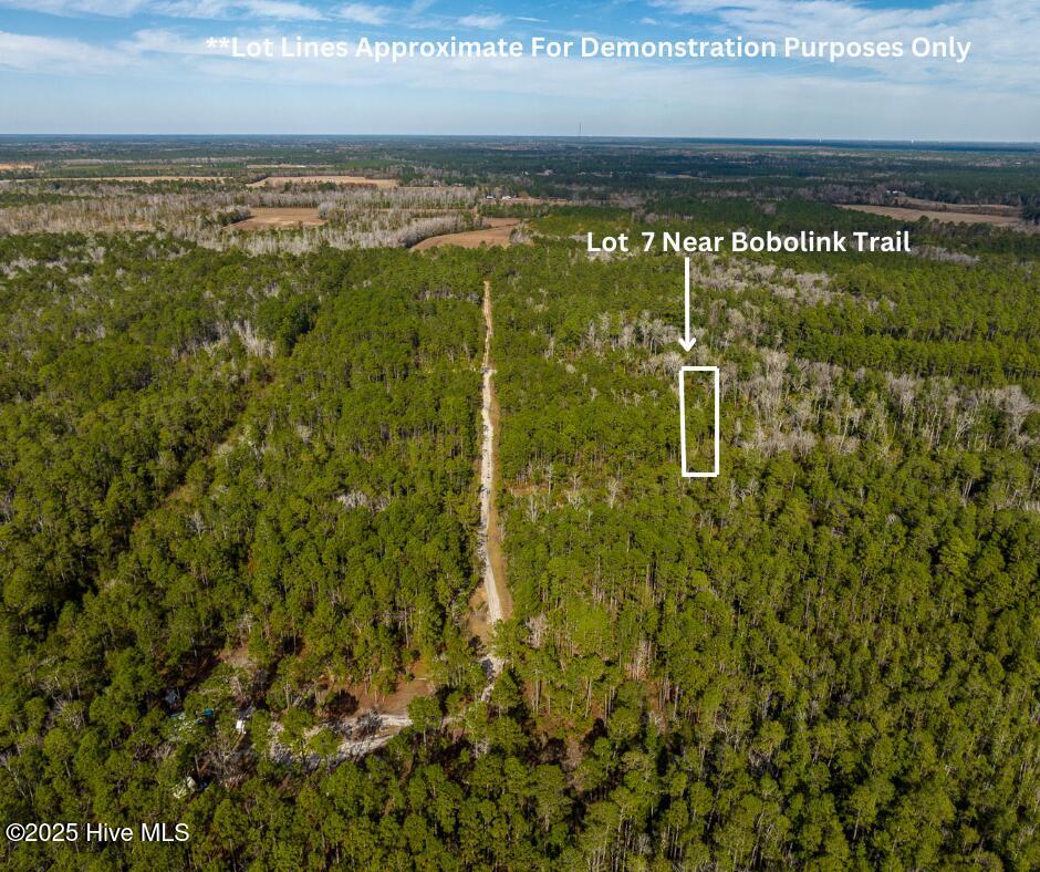 Lot 7 Approximate Lot Lines