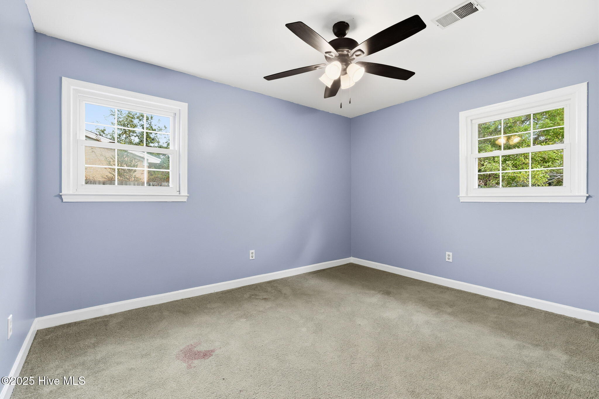 100539016 | Photo 34