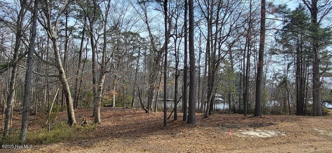 113 S South Fork Court, Hertford, NC, 27944