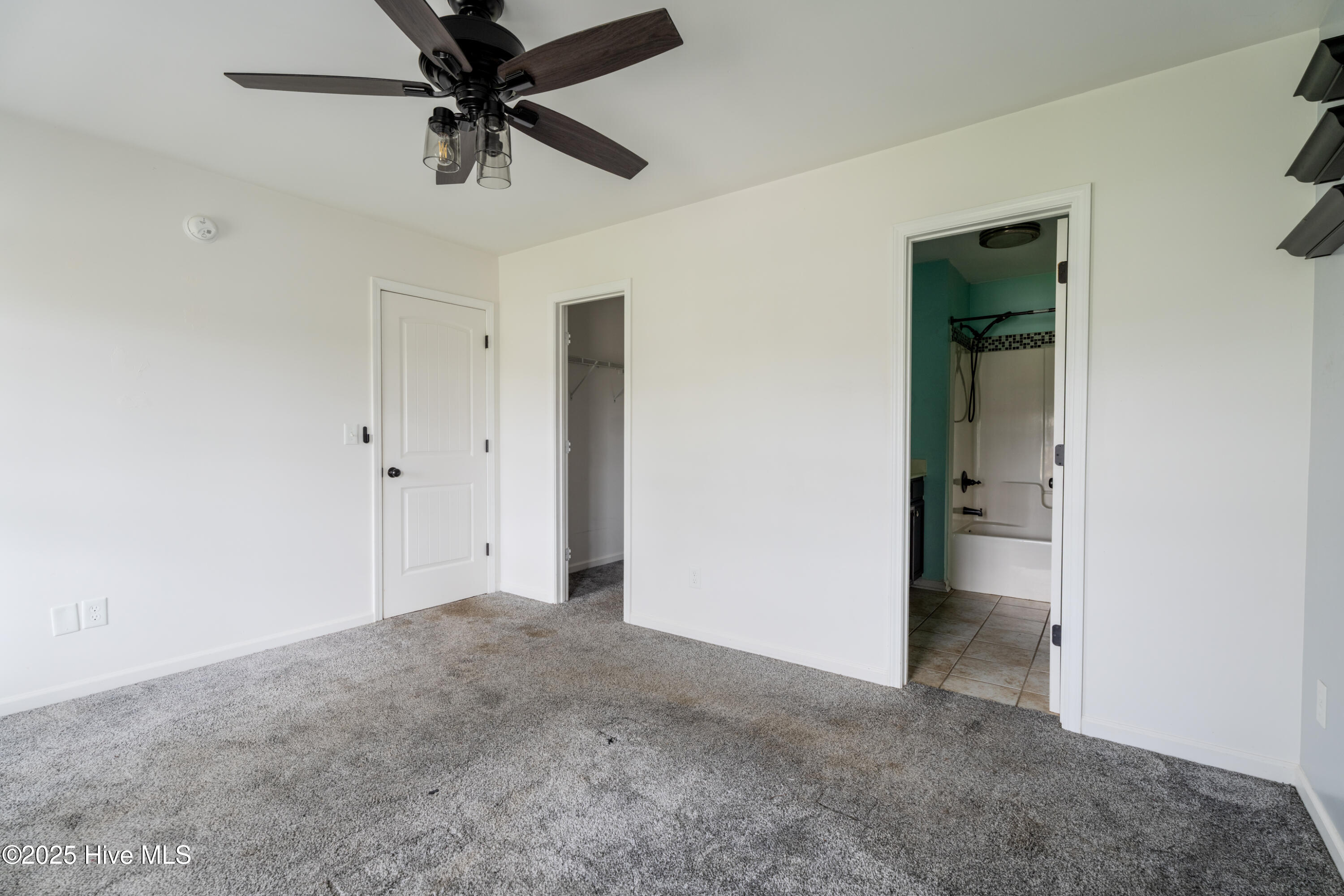 100536355 | Photo 10