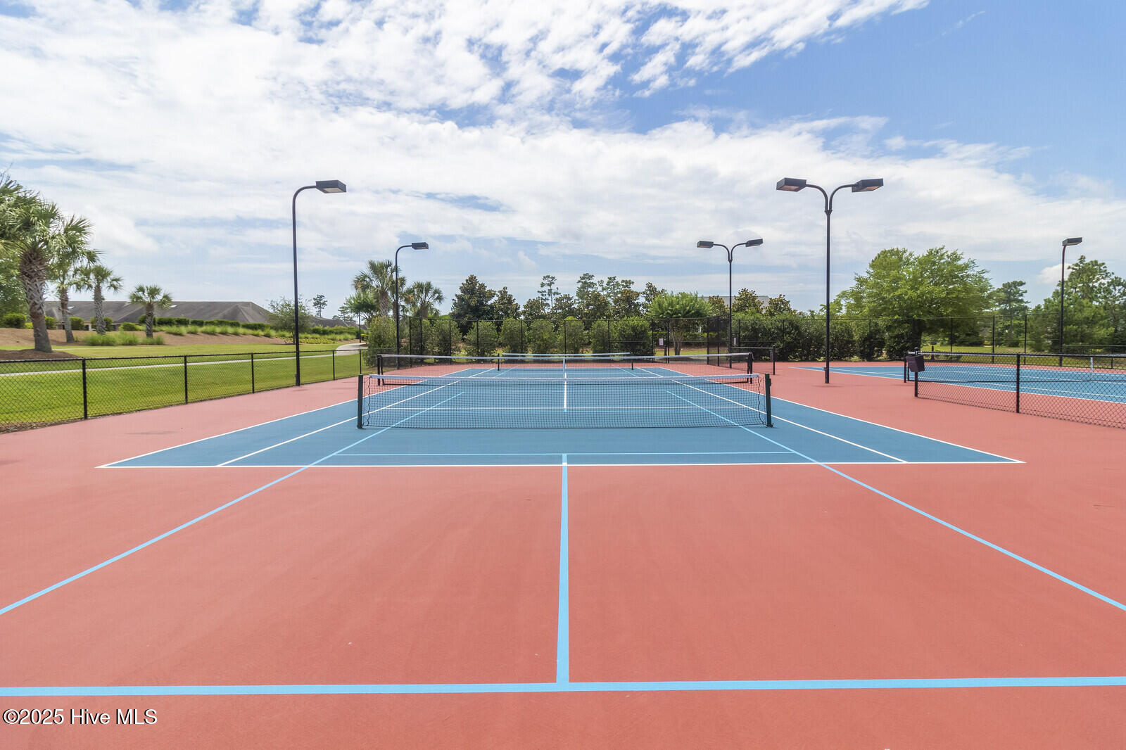 100537559 | Photo 58