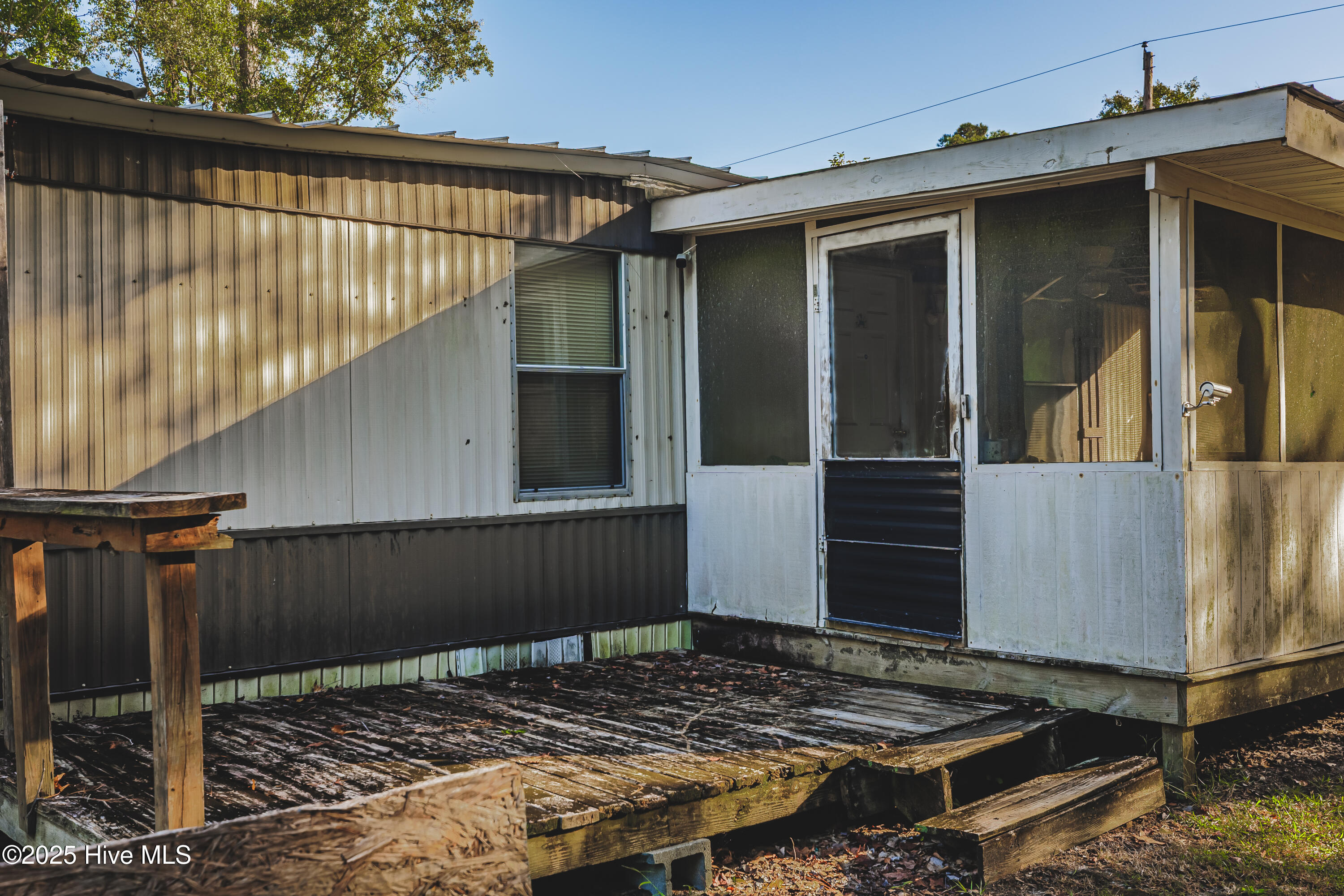 100535139 | Photo 11