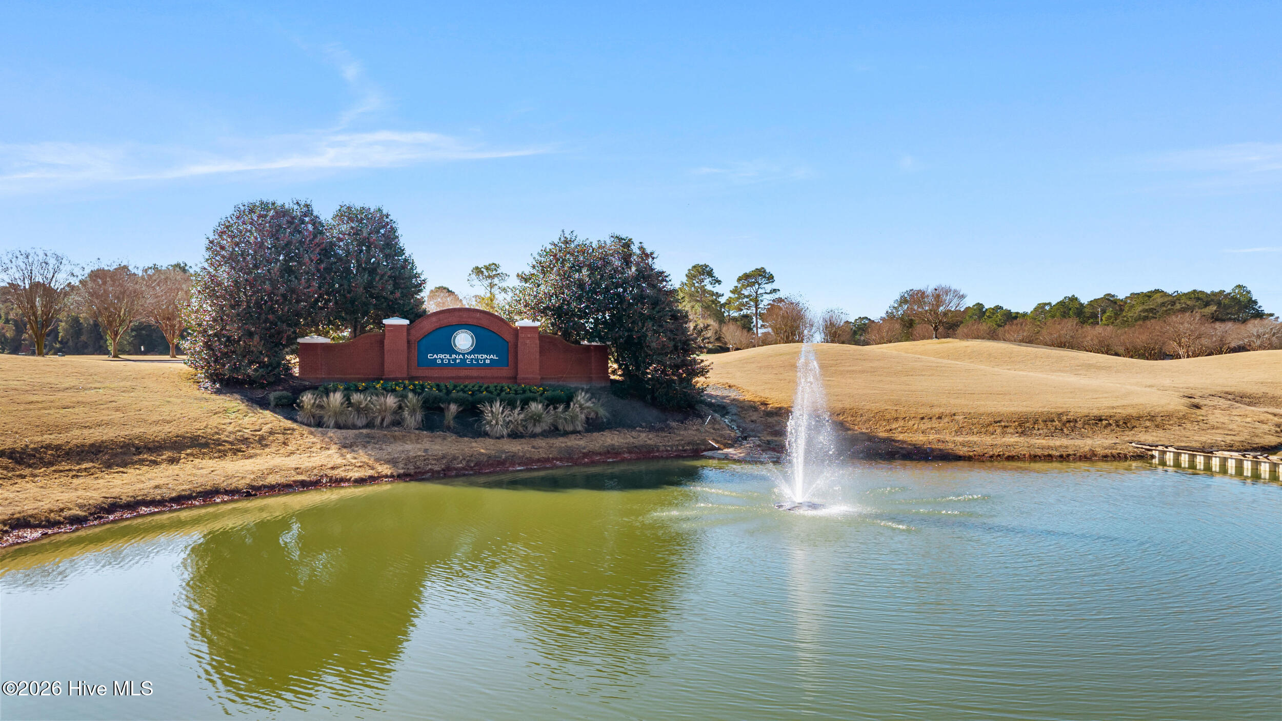 100547878 | Photo 29