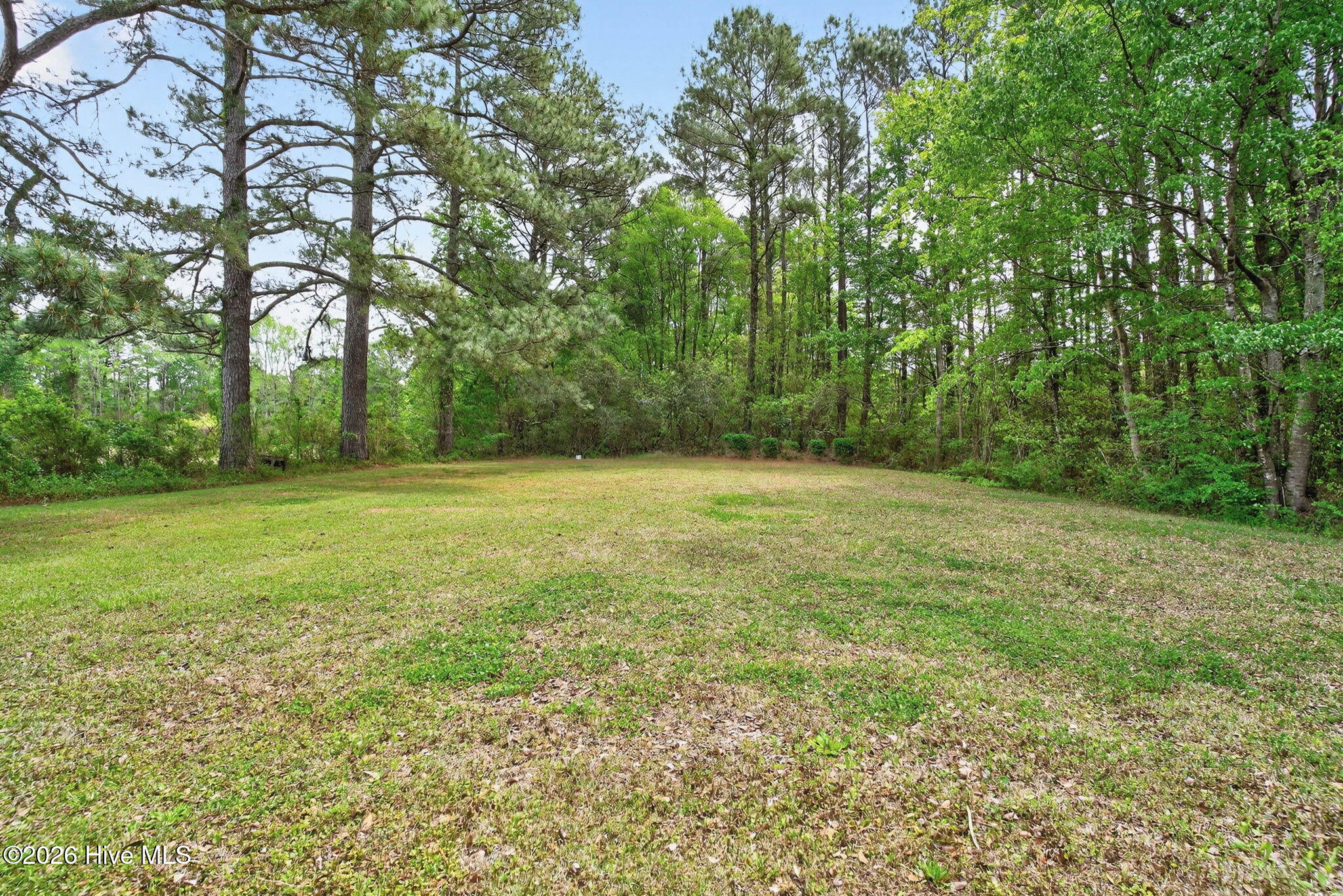 100565491 | Photo 26