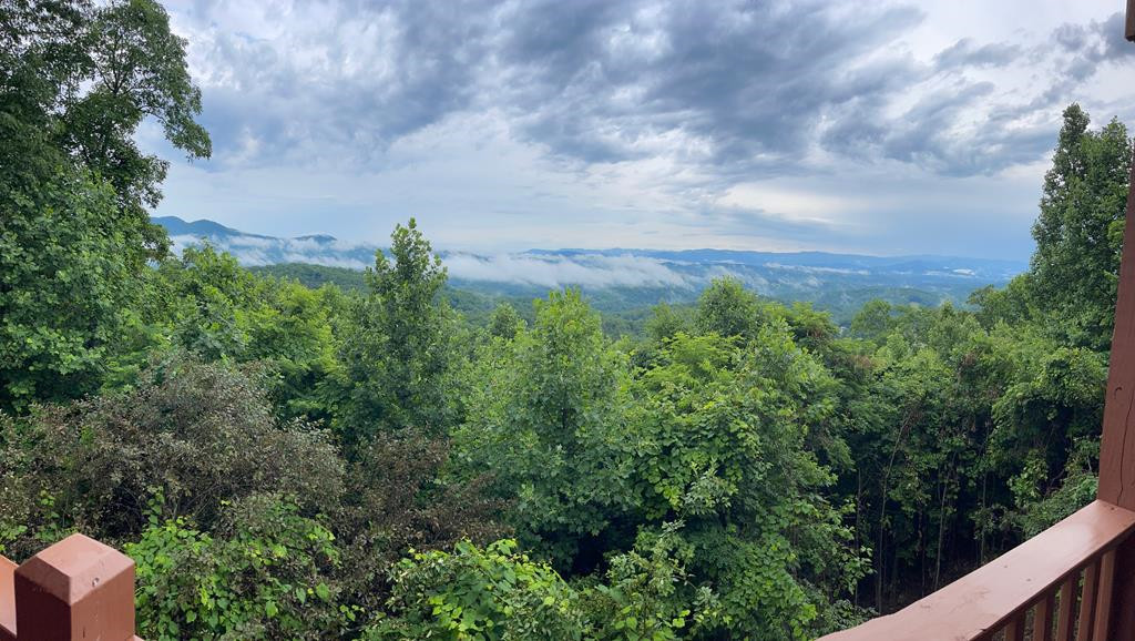 Summer Views