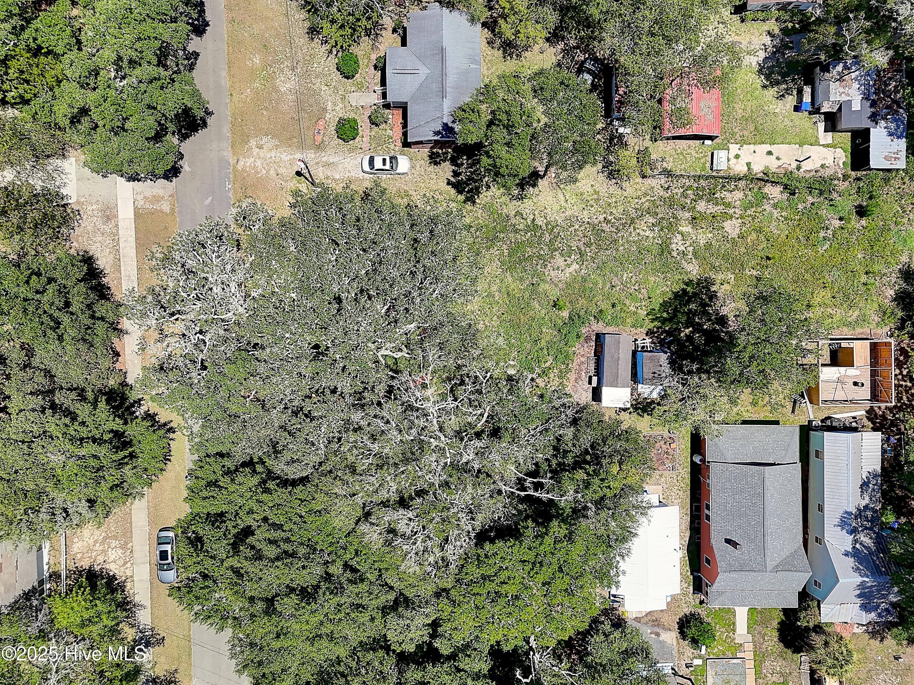 100521668 | Photo 16