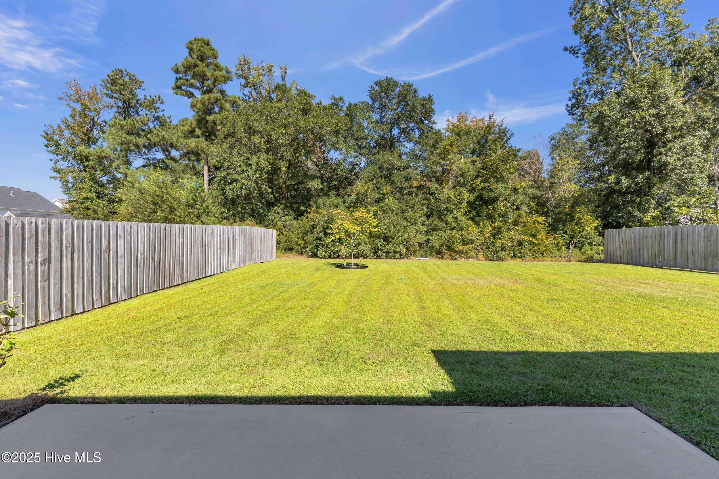 100532615 | Photo 38