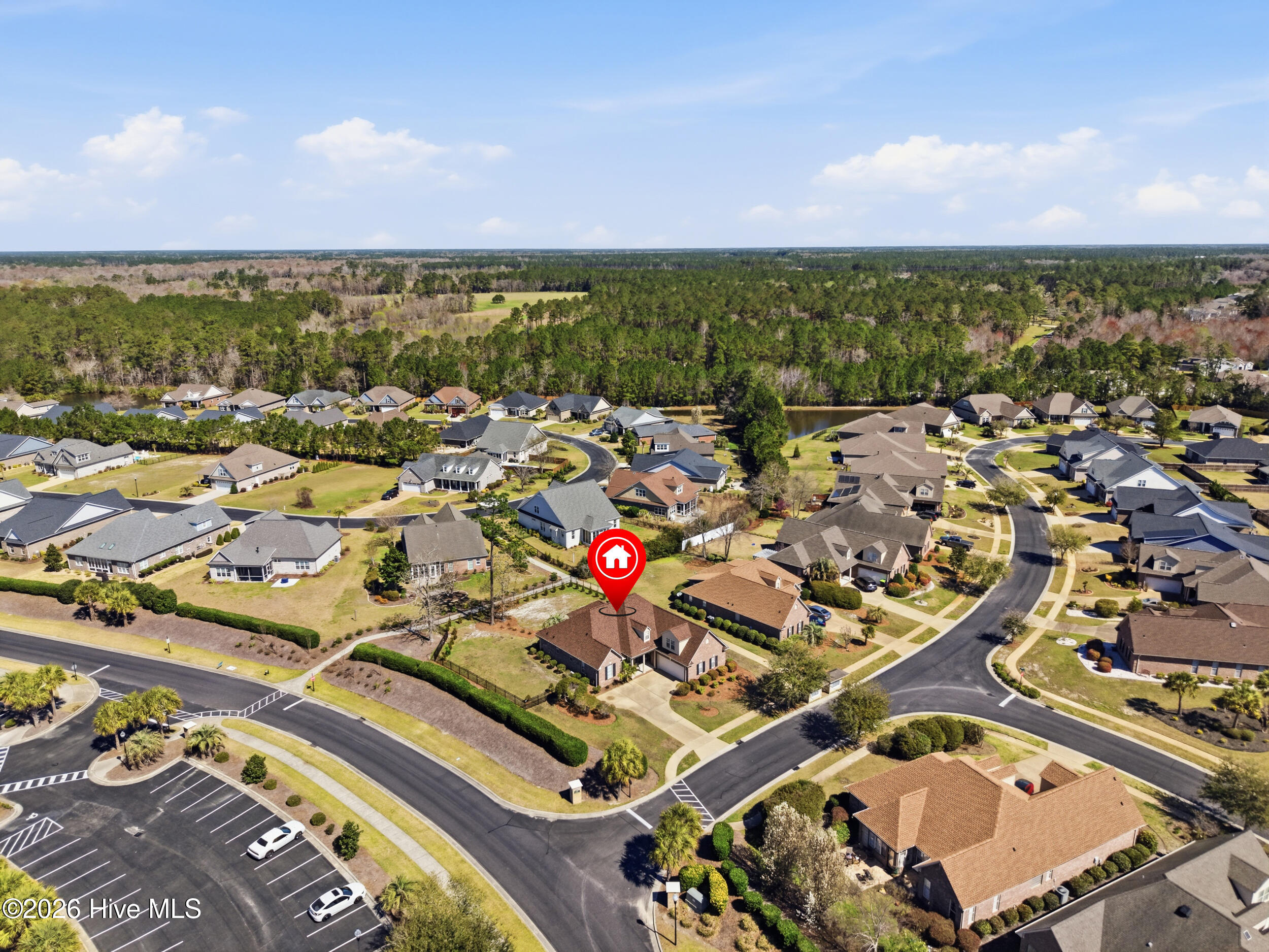 100561149 | Photo 34