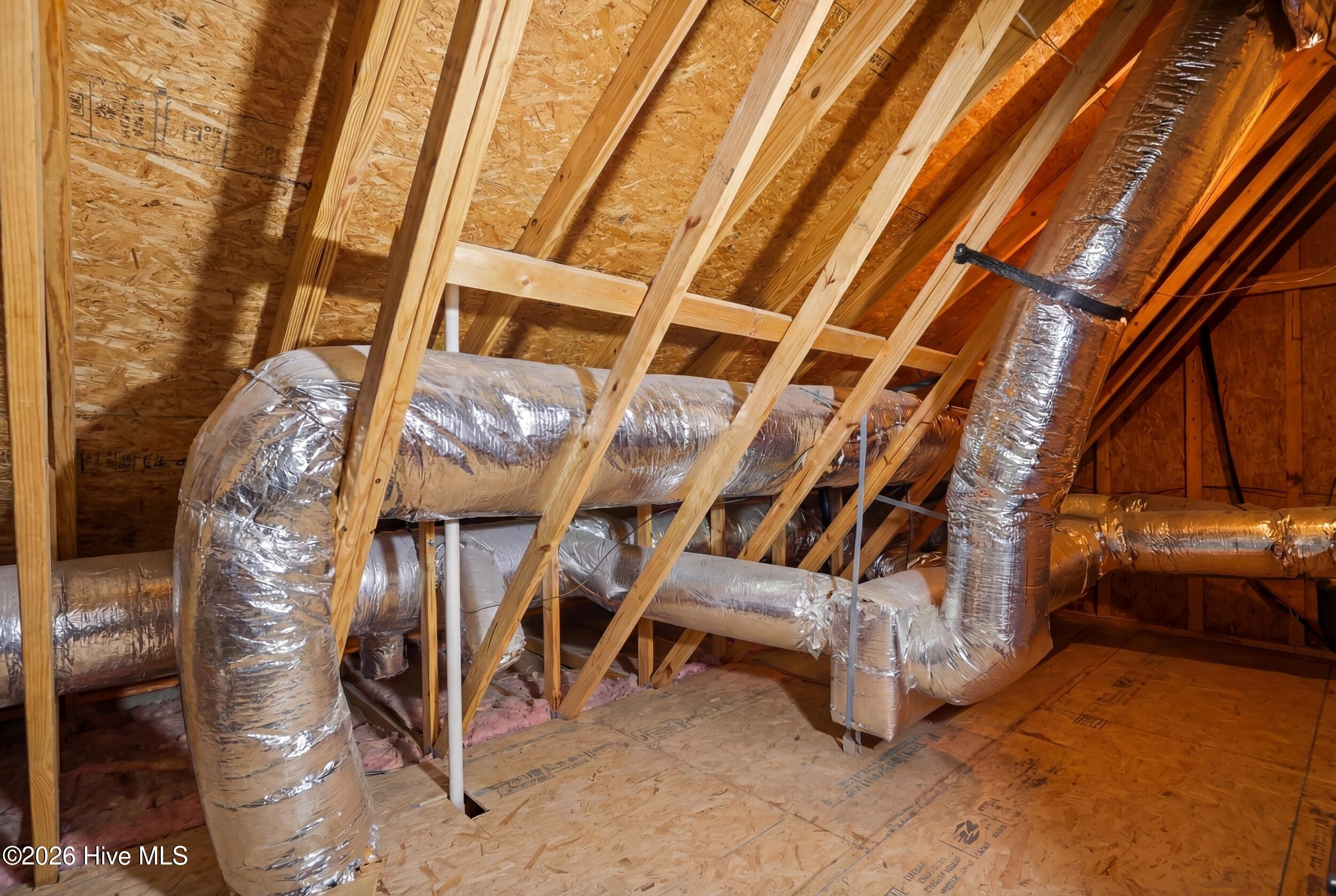 100562435 | Photo 28