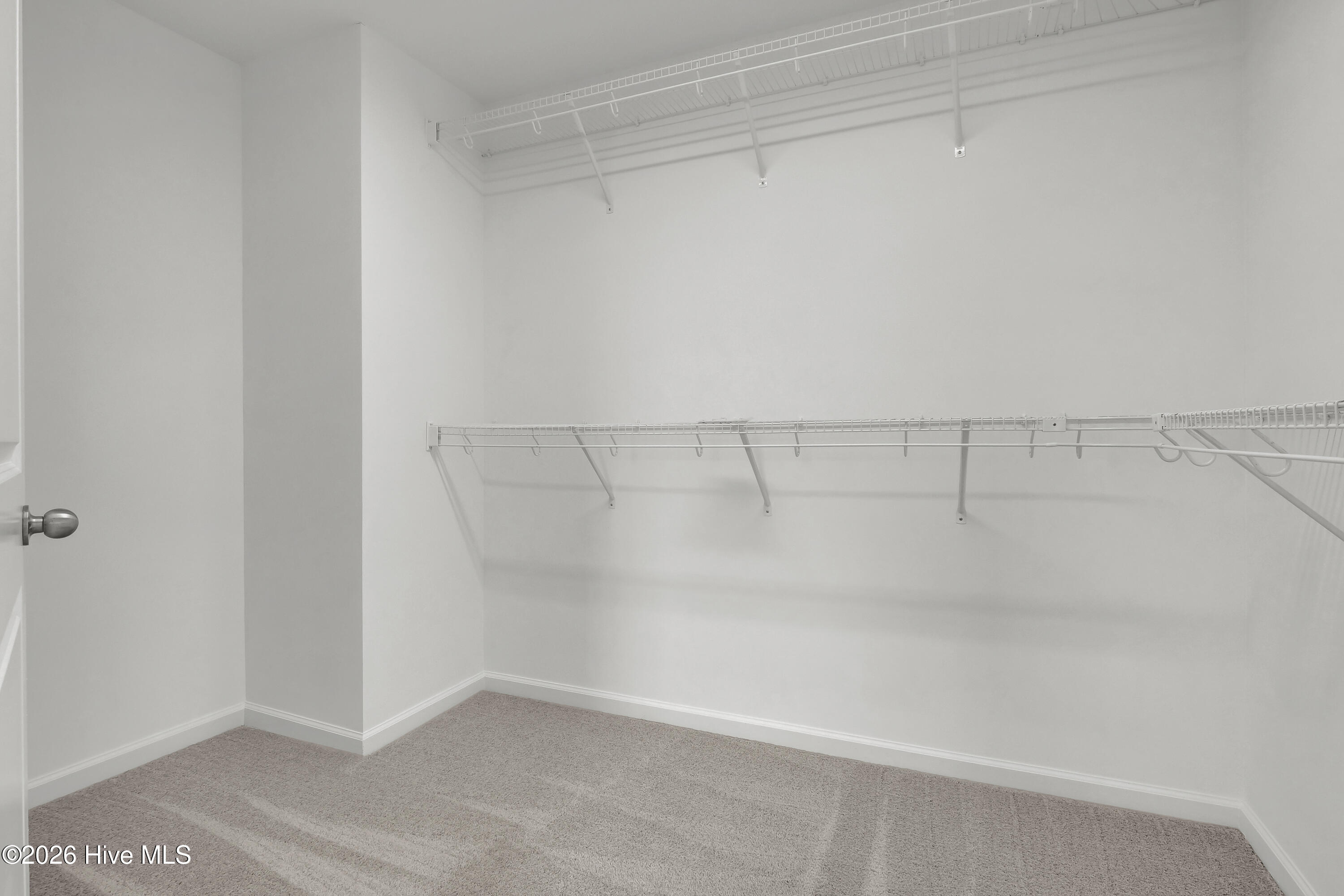 100555239 | Photo 20