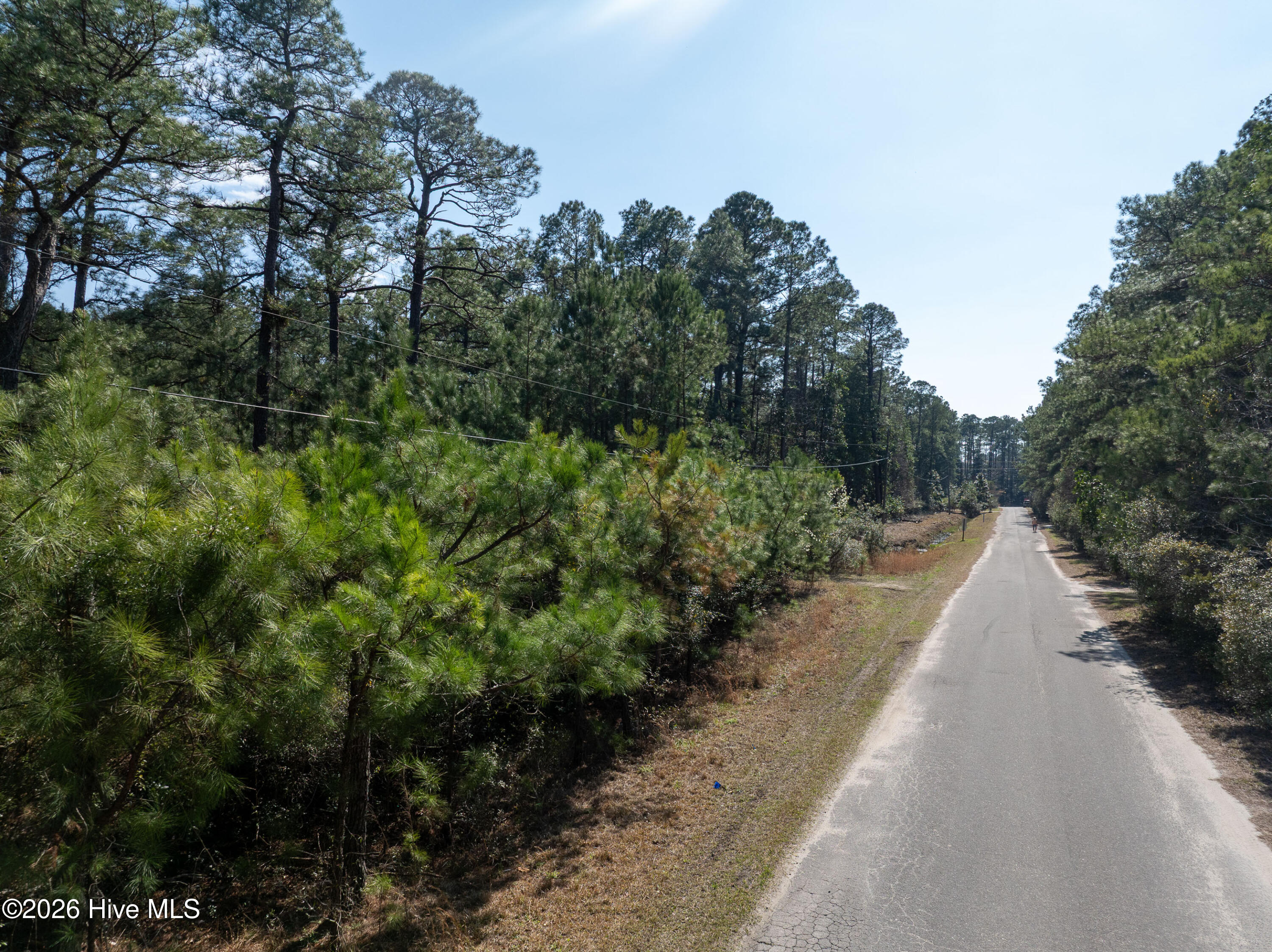 100559861 | Photo 10