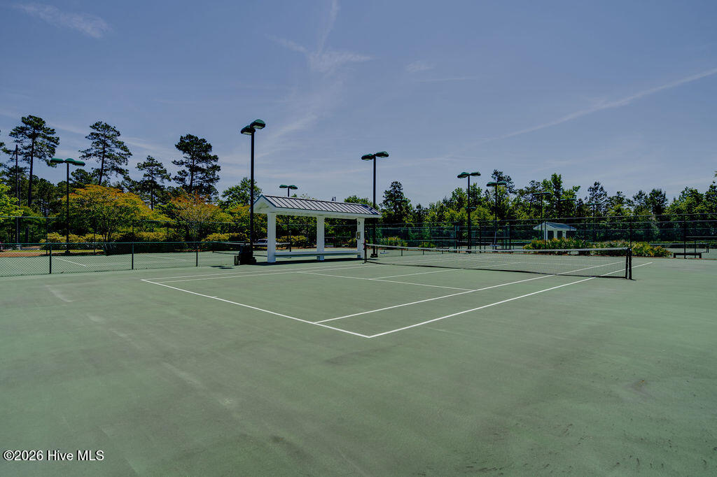 100554107 | Photo 85