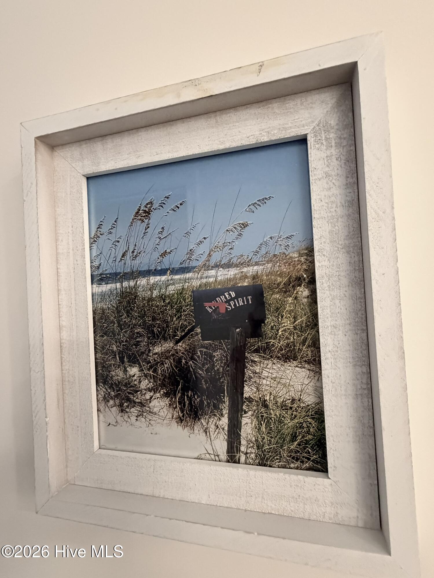 100558778 | Photo 29