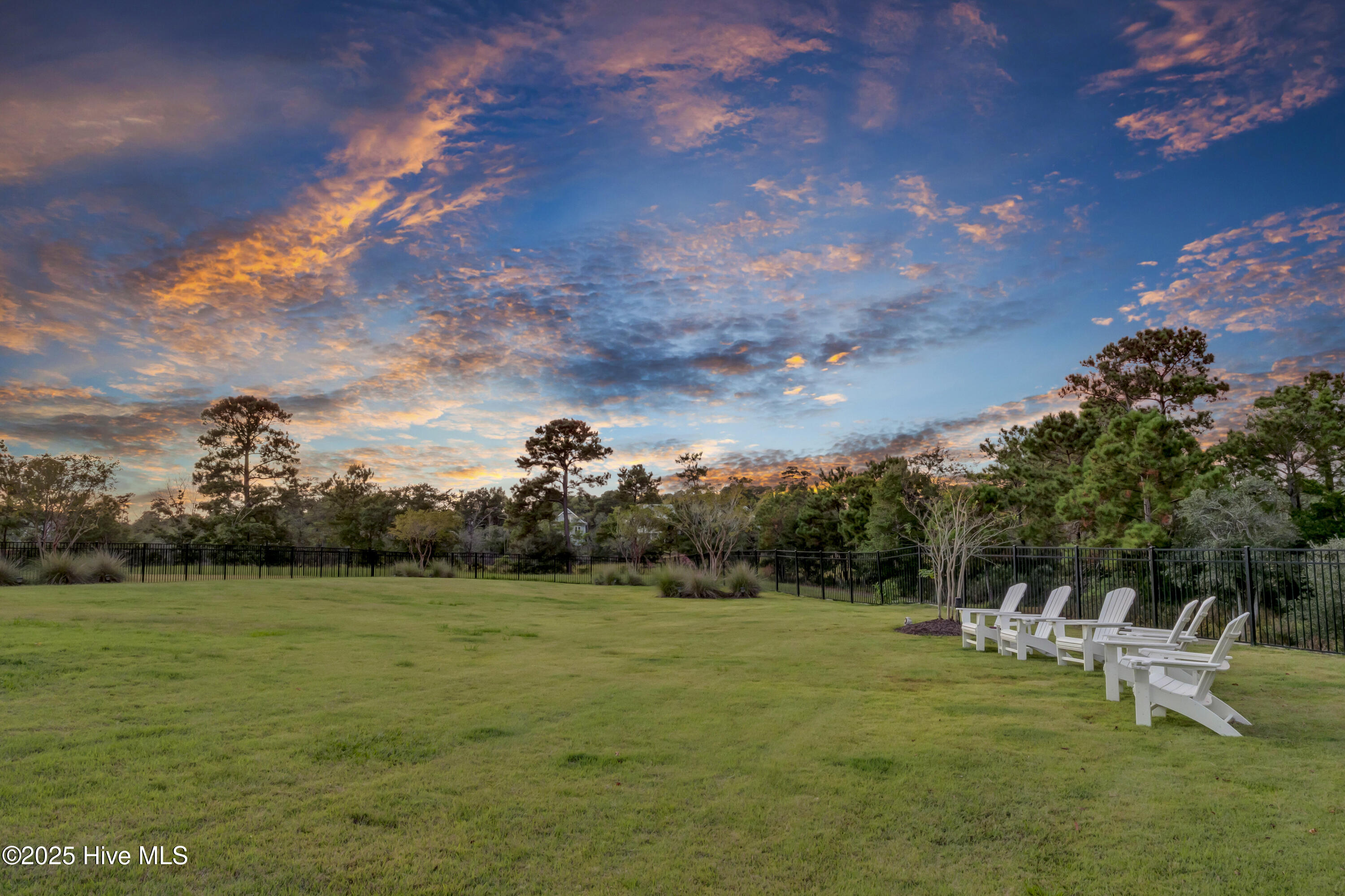 100534317 | Photo 59