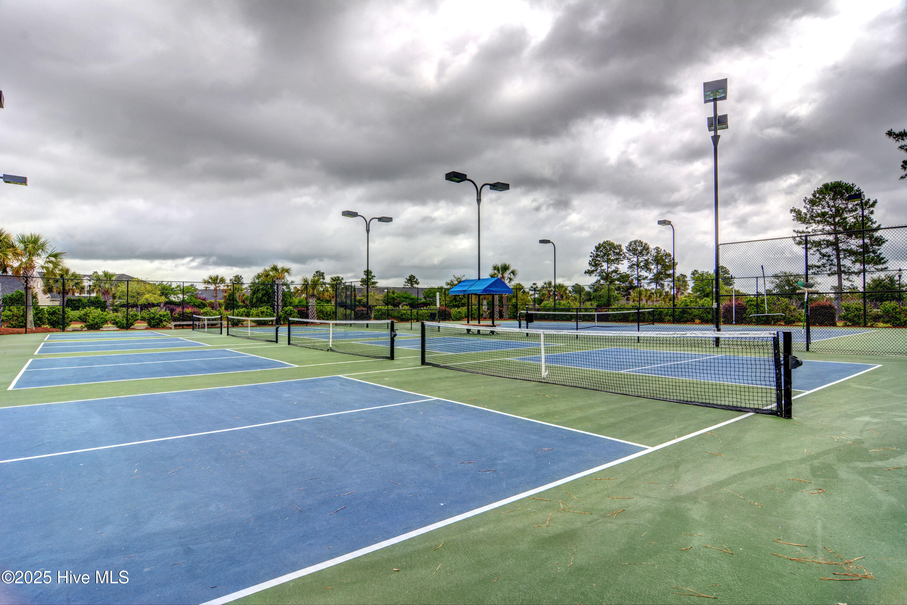 100501498 | Photo 22