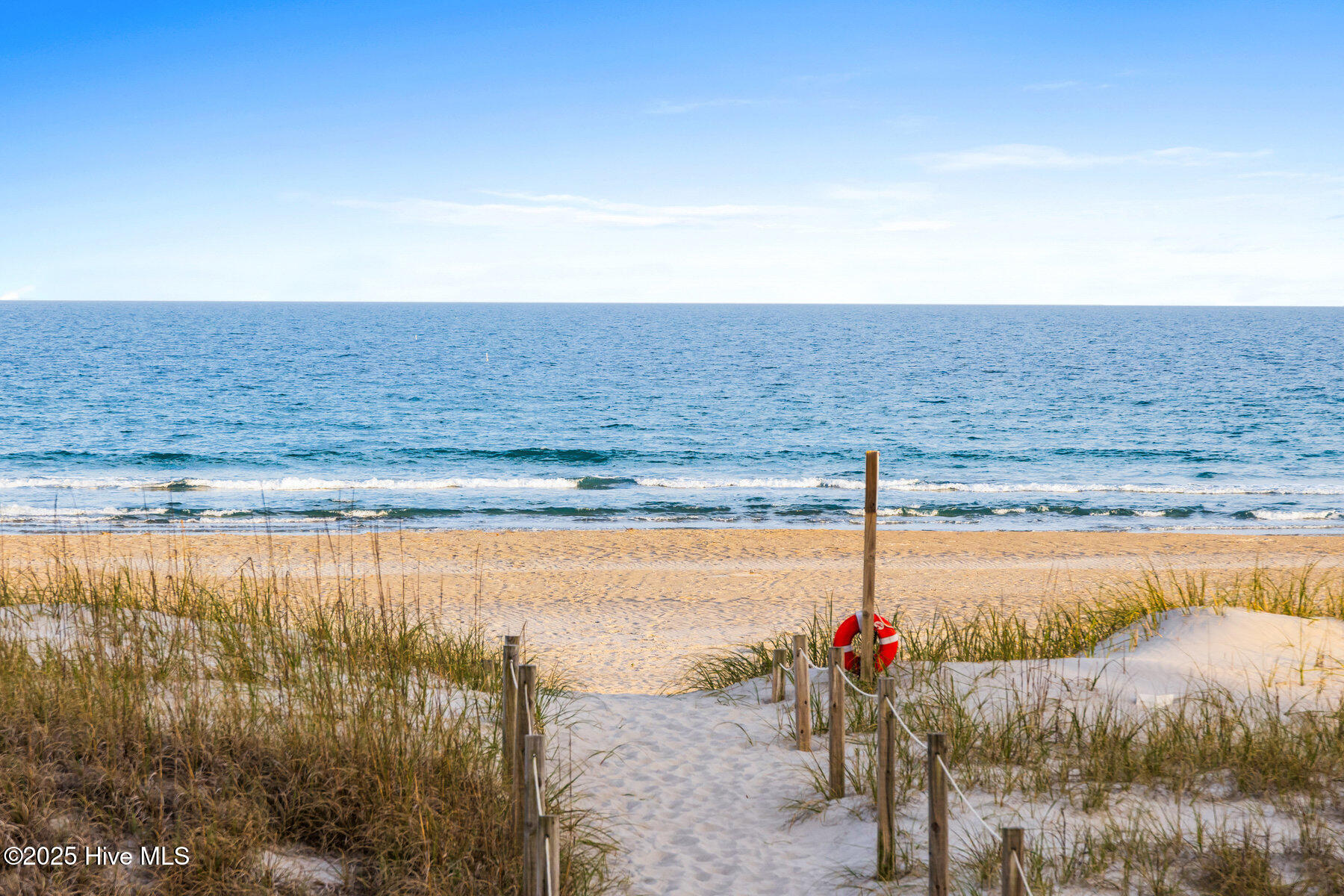 100503545 | Photo 18