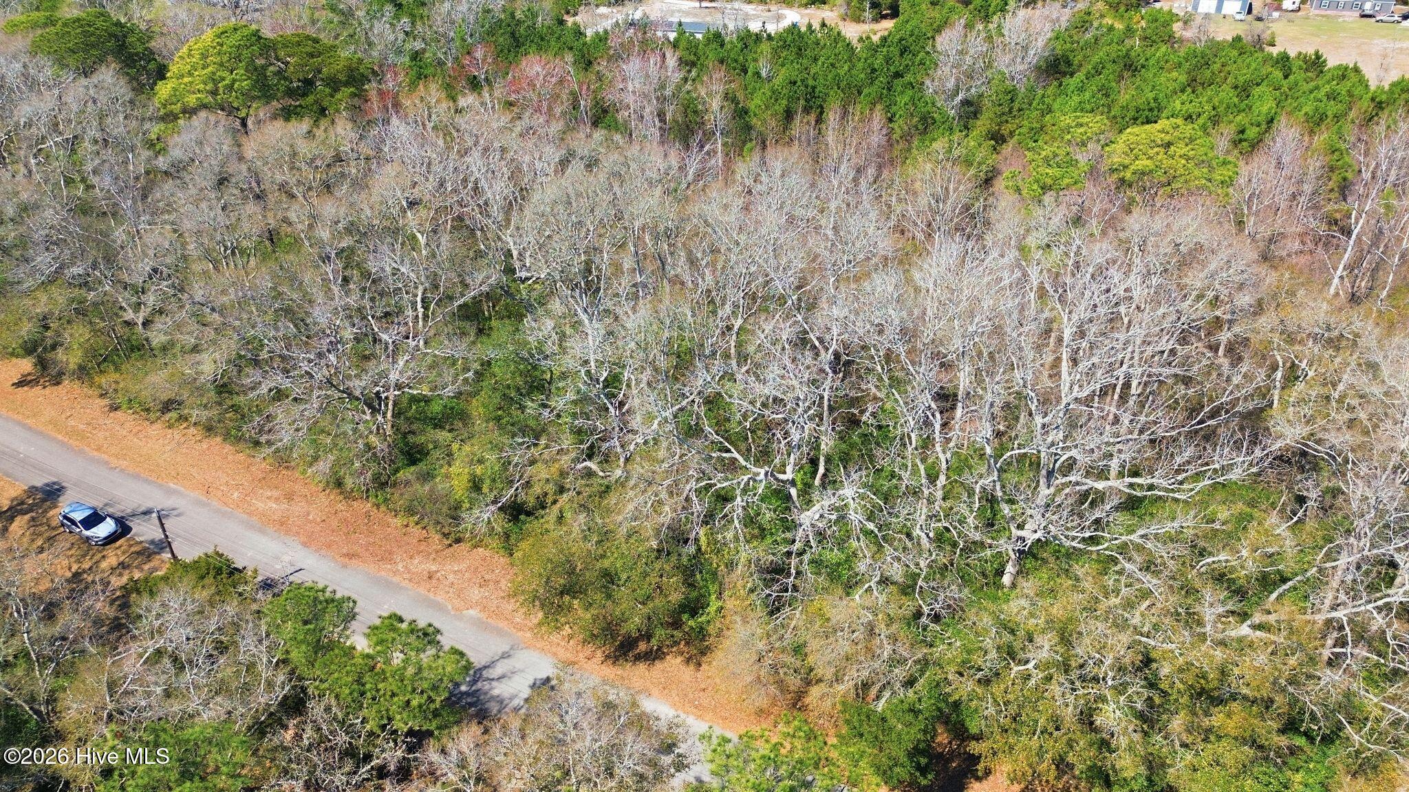 100560121 | Photo 22