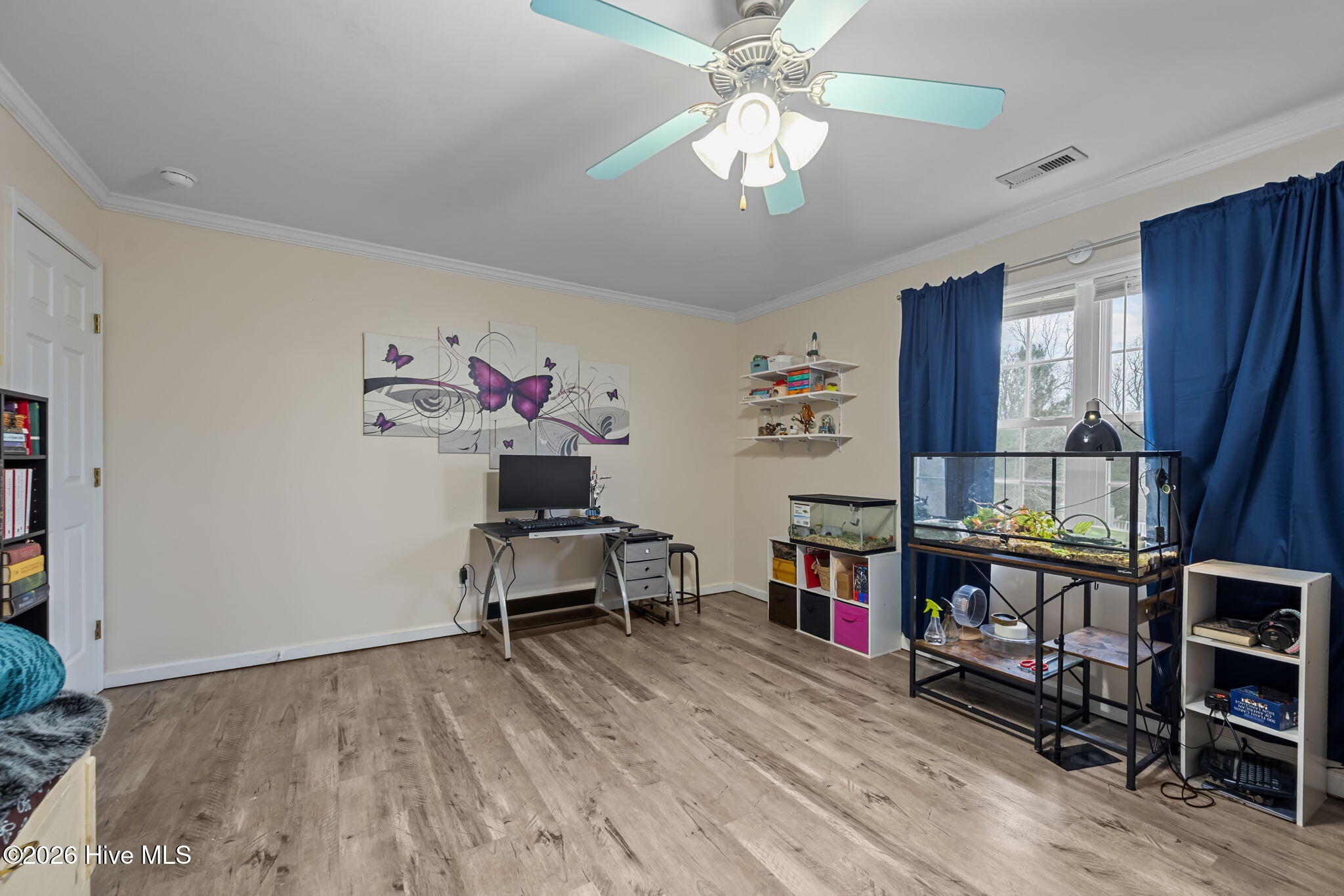 100557668 | Photo 33