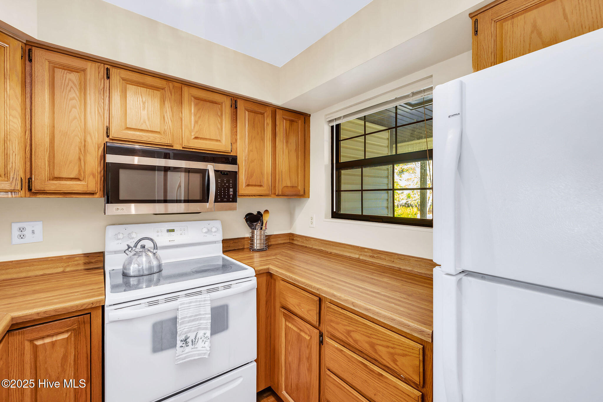 100541732 | Photo 11