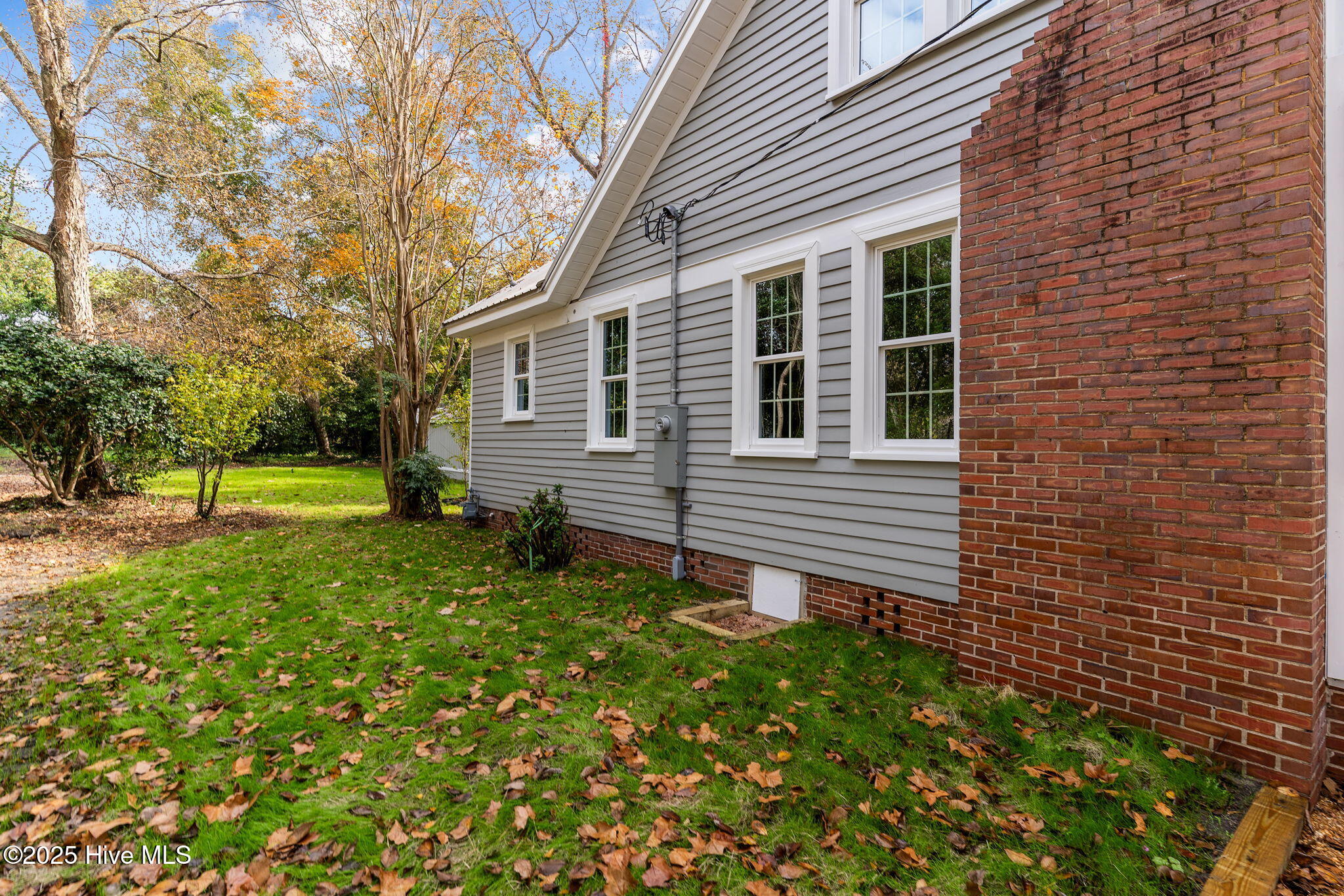 100542259 | Photo 50