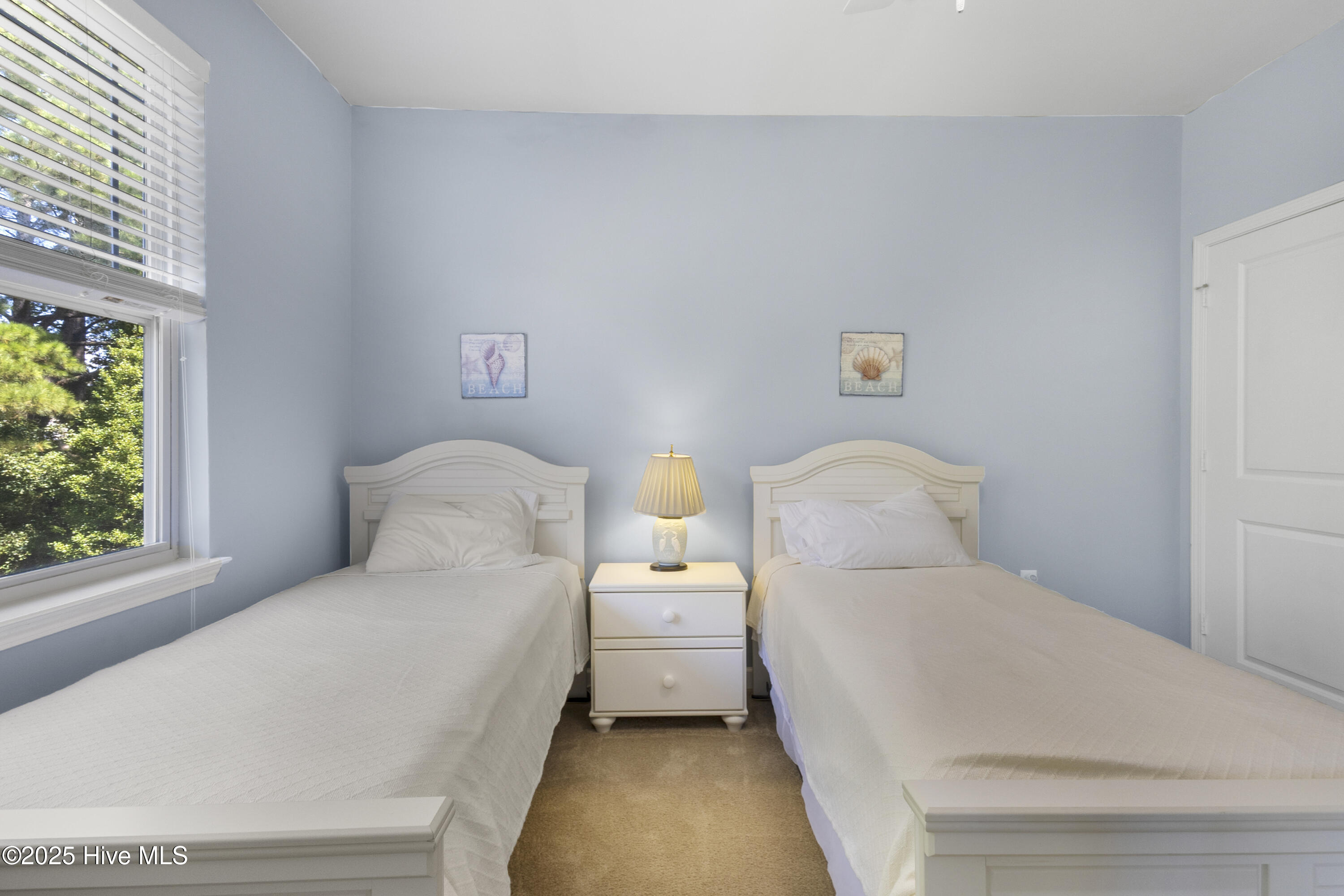 100529994 | Photo 19