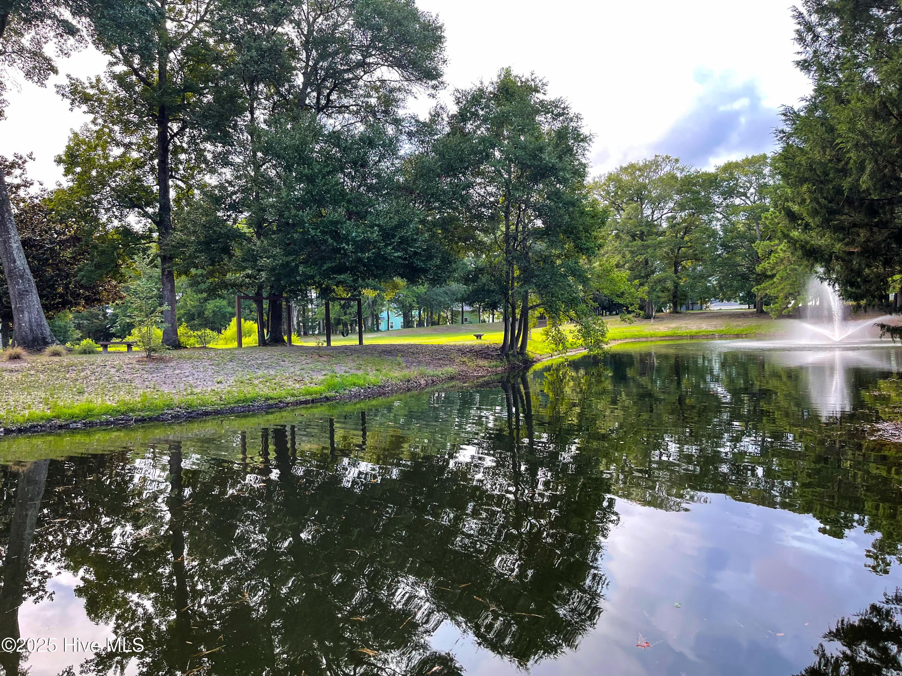 100546436 | Photo 56